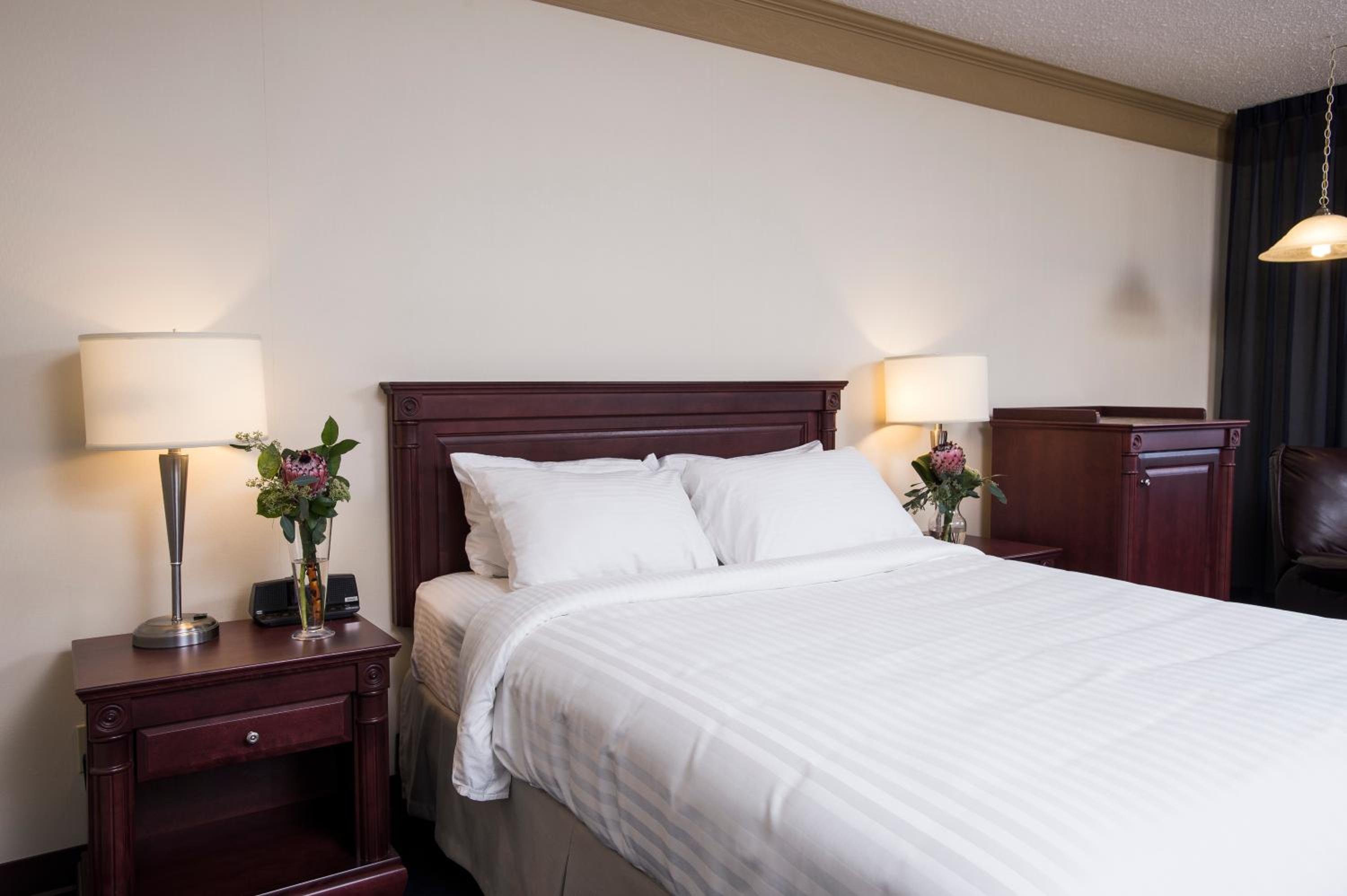 King Room photo 1