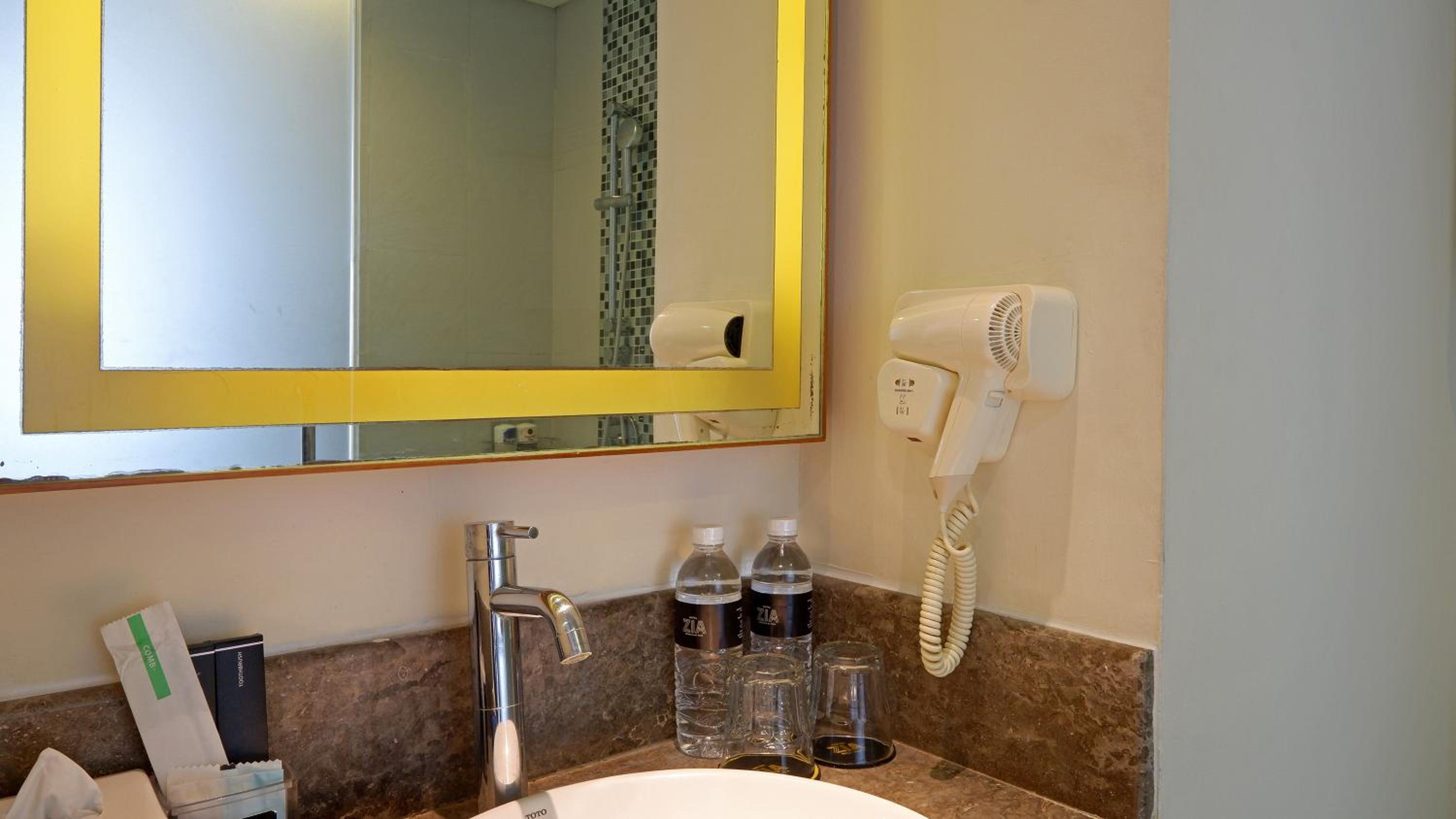 Deluxe Room photo 3