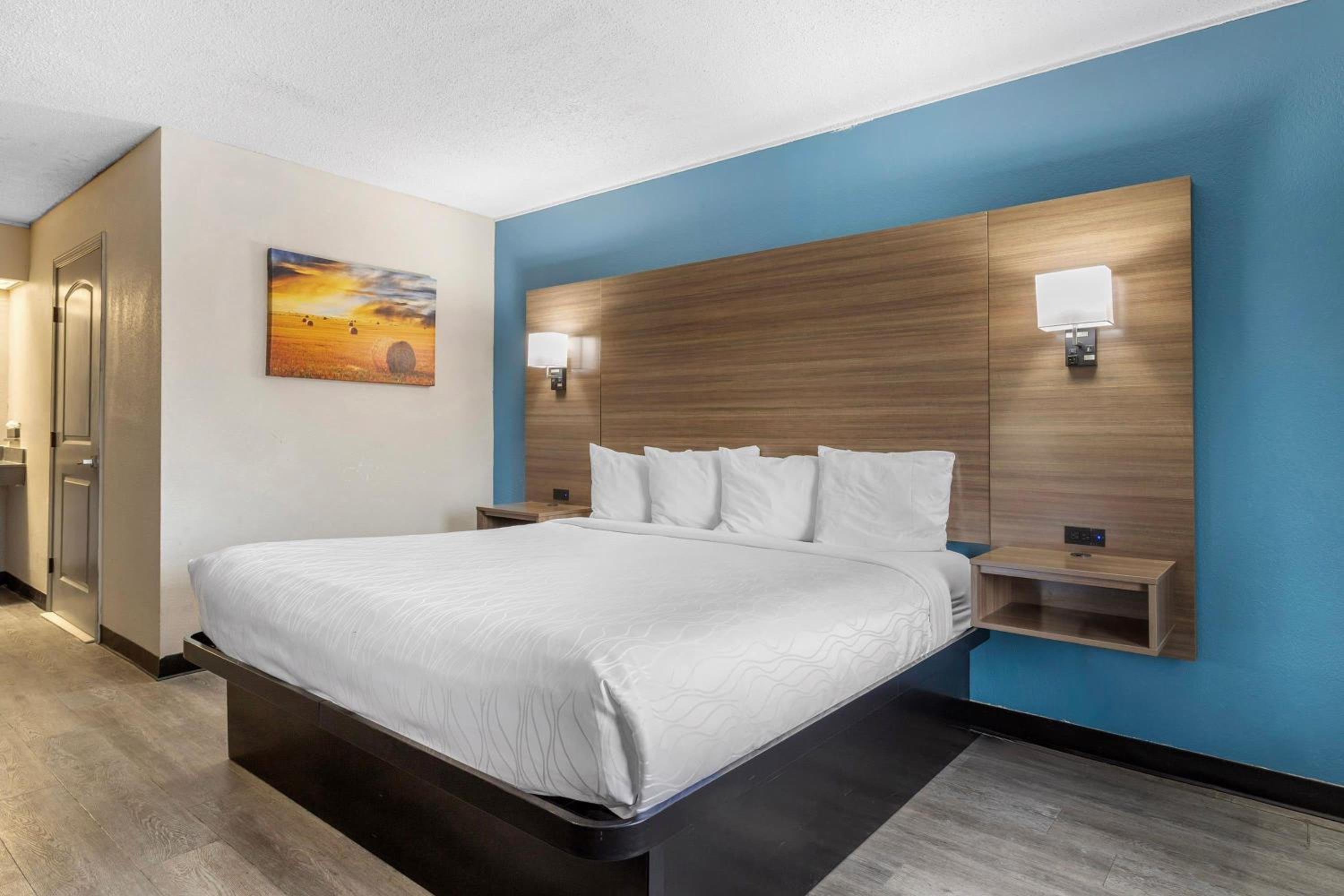 King Room with Roll-in Shower - Mobility Access/Non-Smoking photo 2