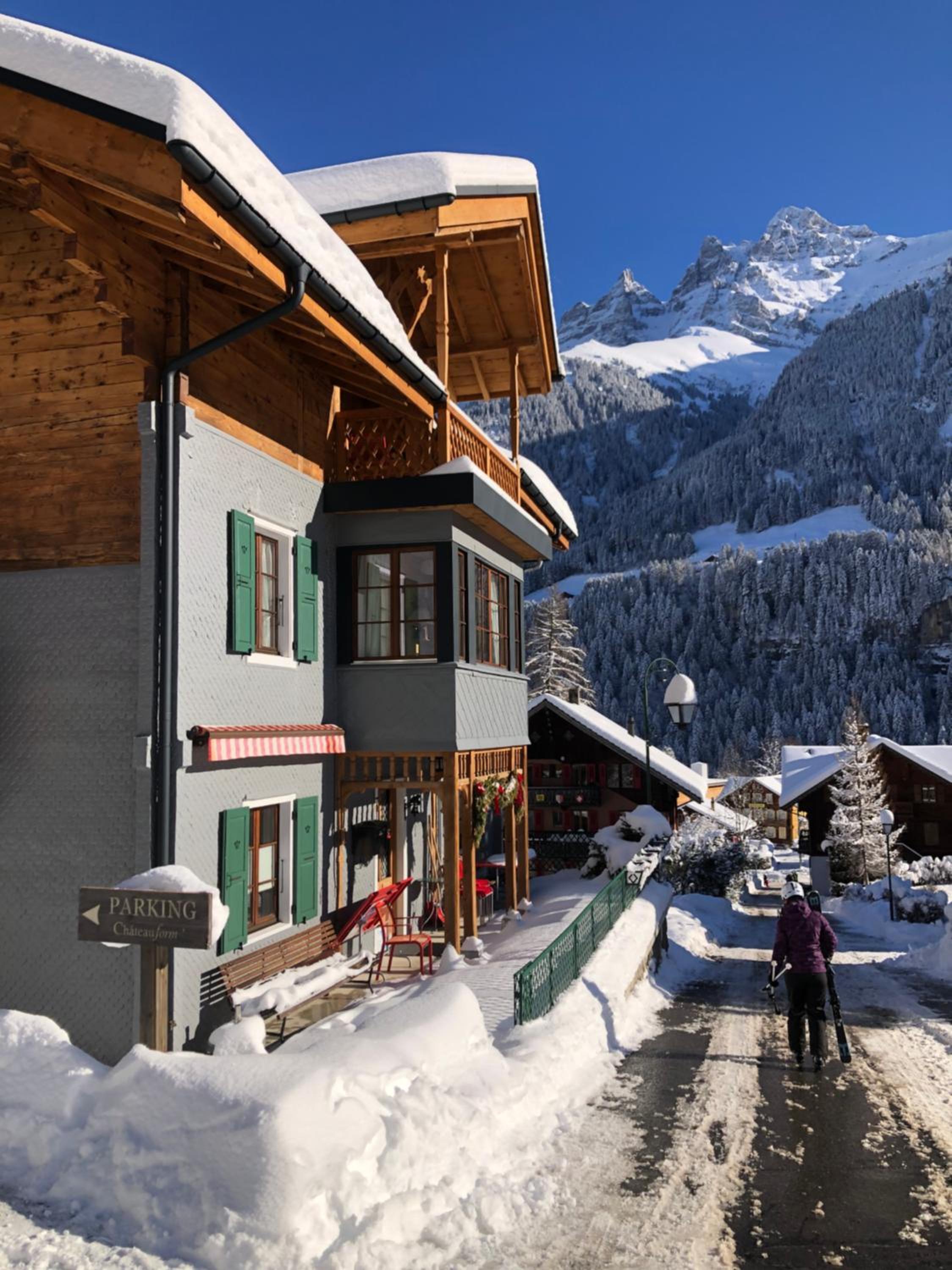 Three-Bedroom Chalet photo 2