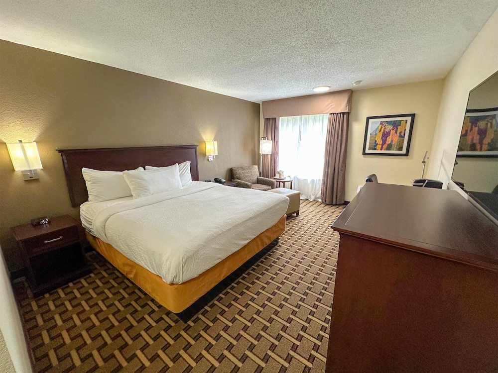 Room, 1 King Bed photo 1