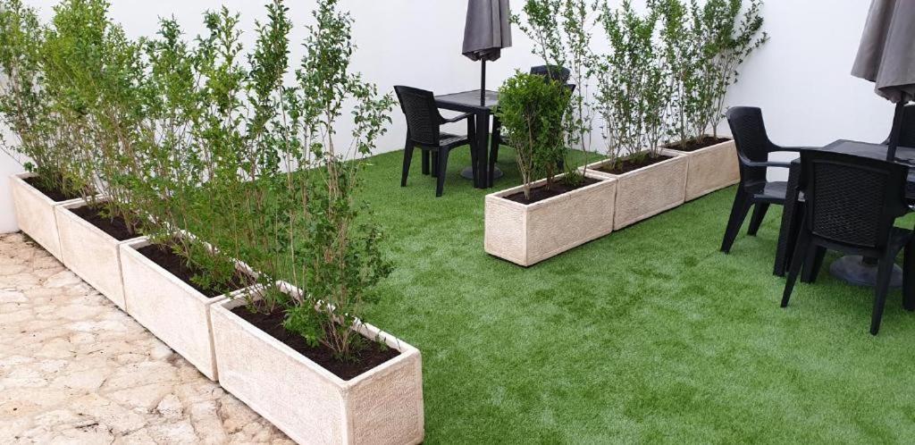 Apartment with Terrace