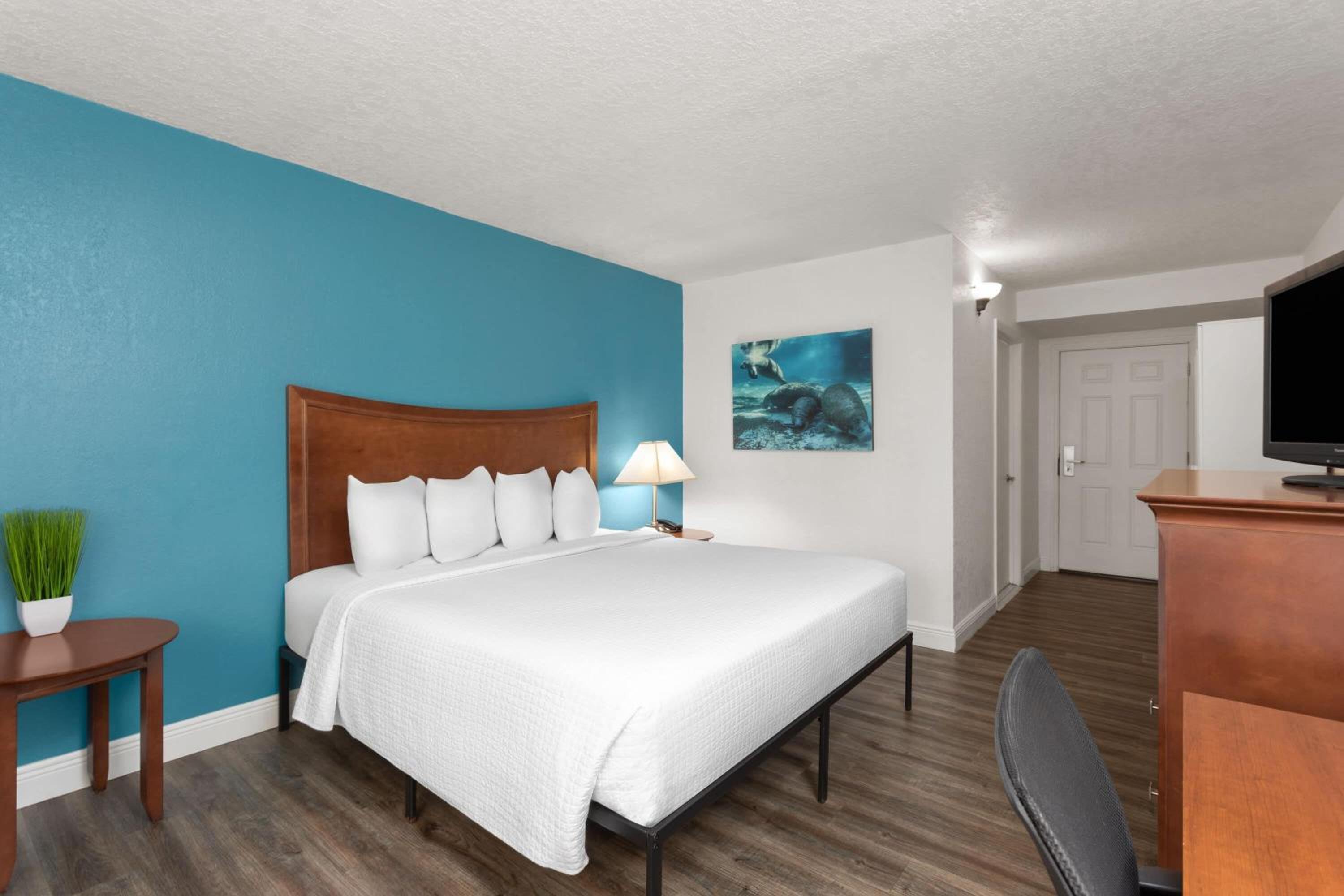 Deluxe King Room with Roll-In Shower - Non-Smoking photo 3