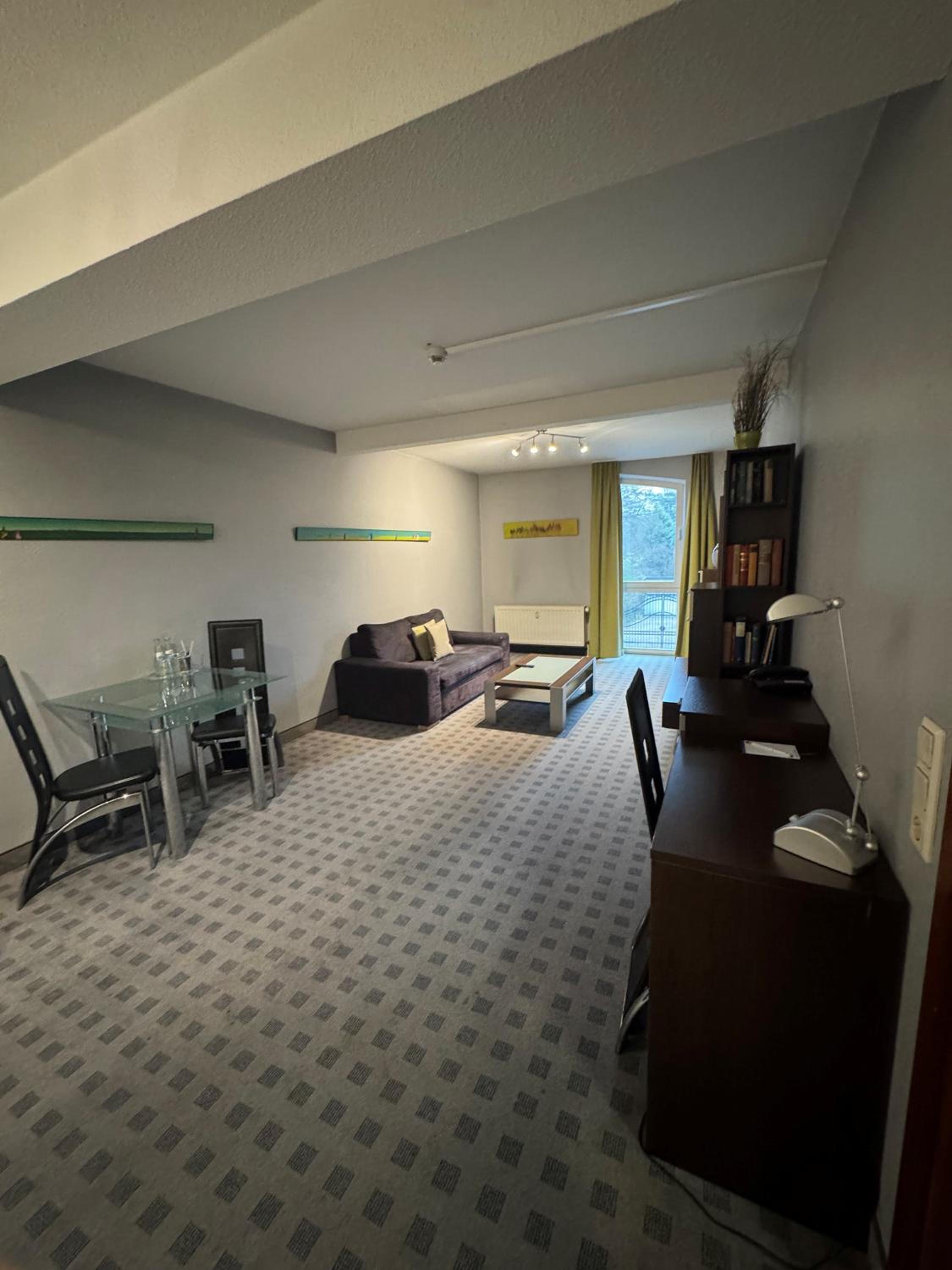Large 1-Bedroom Apartment