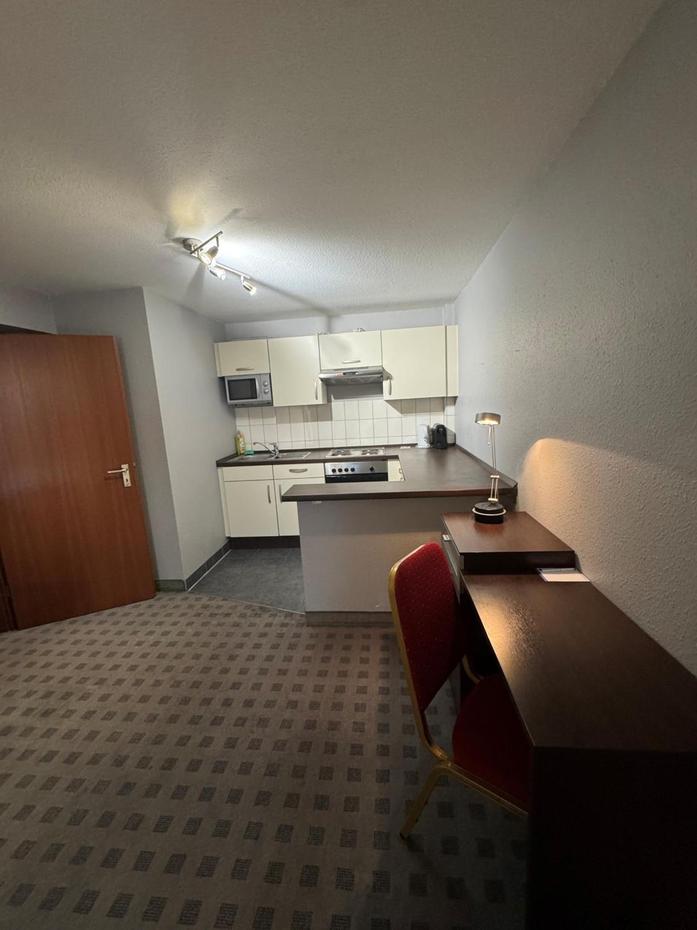 Large 1-Bedroom Apartment