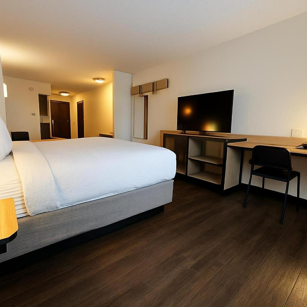 King Room photo 2