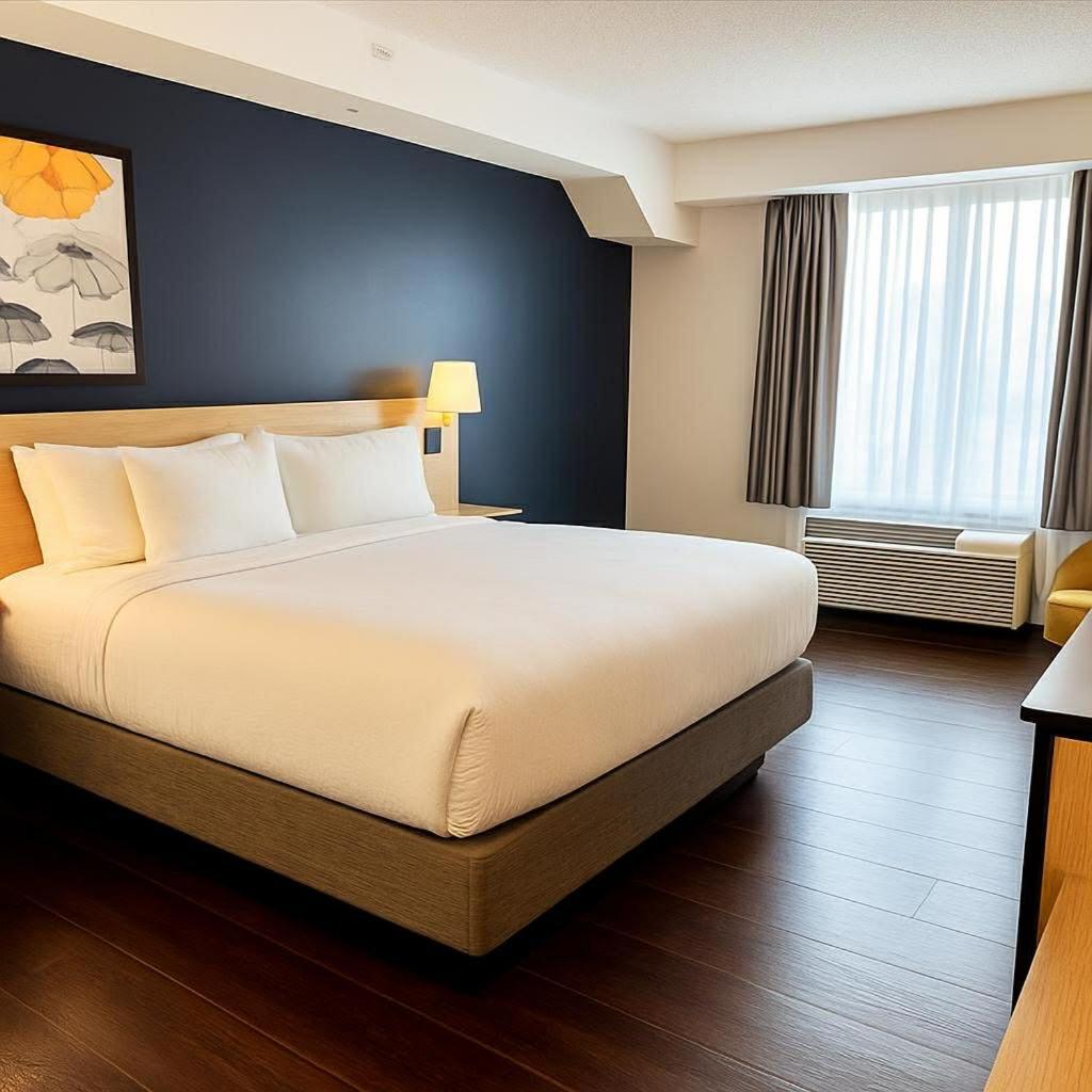 King Room photo 3