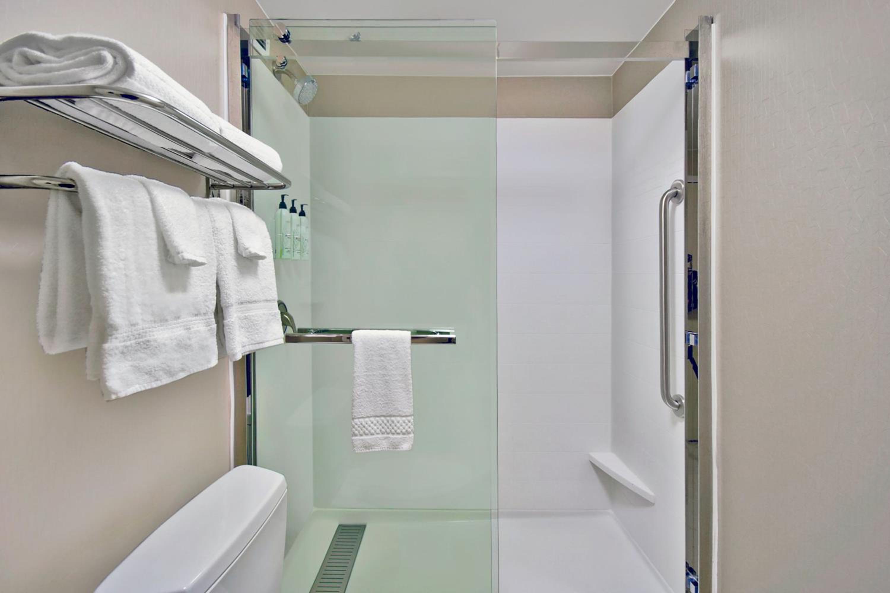 King Suite with Bathtub and Sofa Bed - Mobility Access/Hearing Accessible - Photo 5