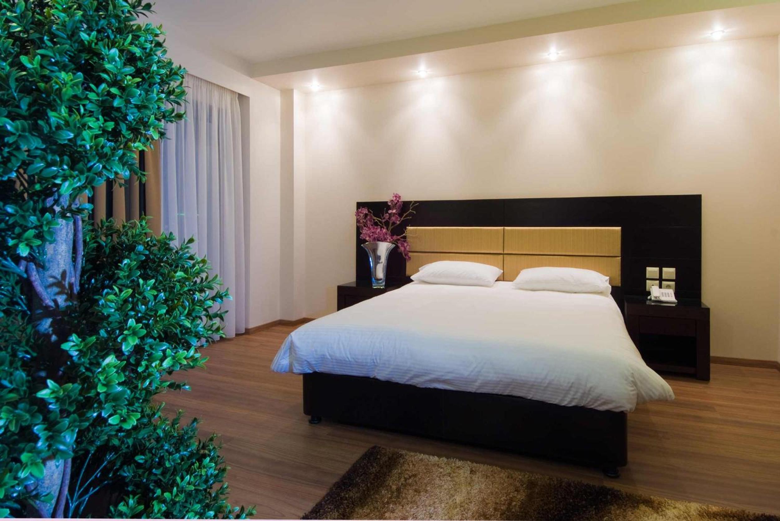 Single Room photo 1