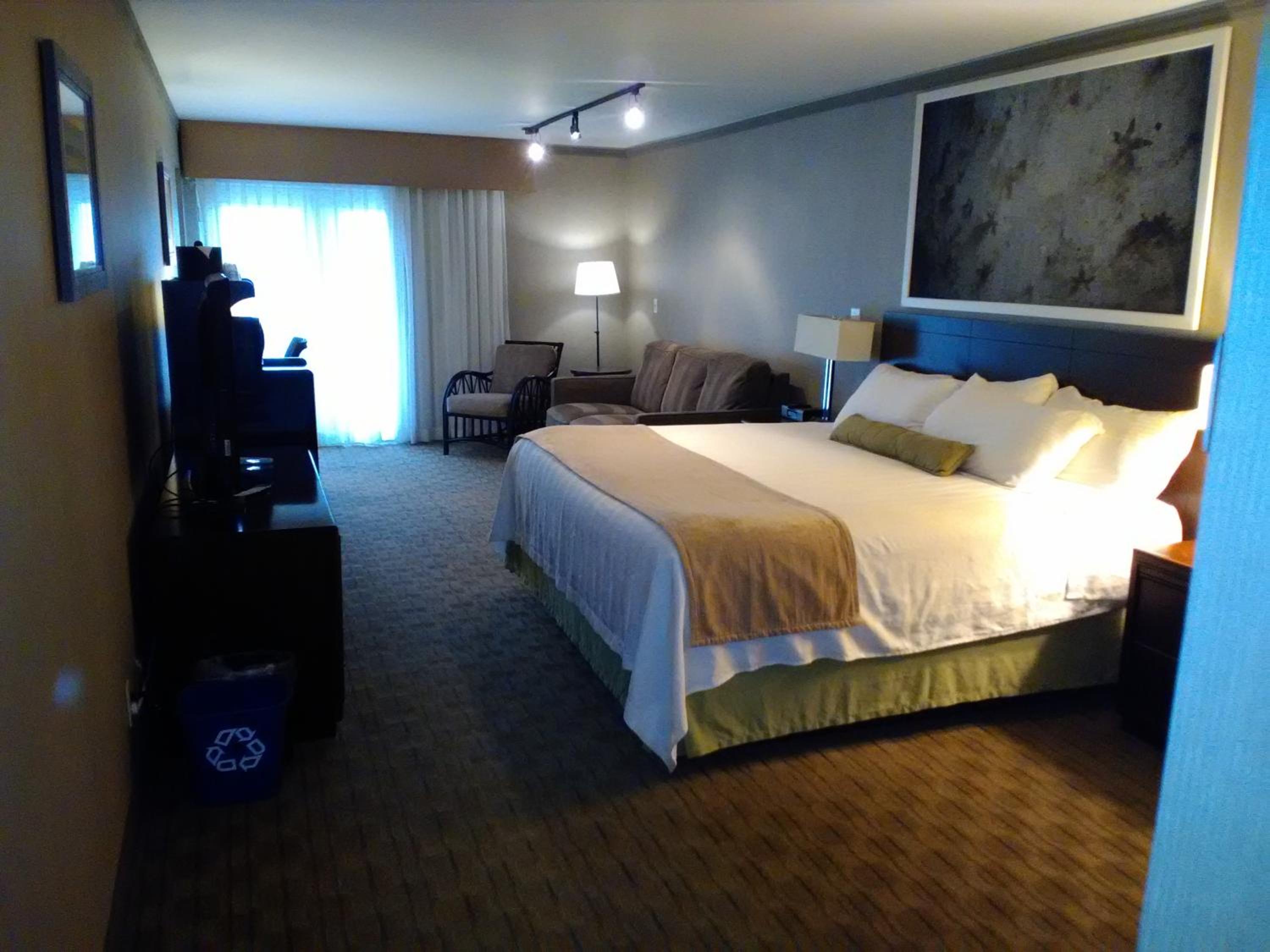 Deluxe King Room with Sofa Bed - Photo 2