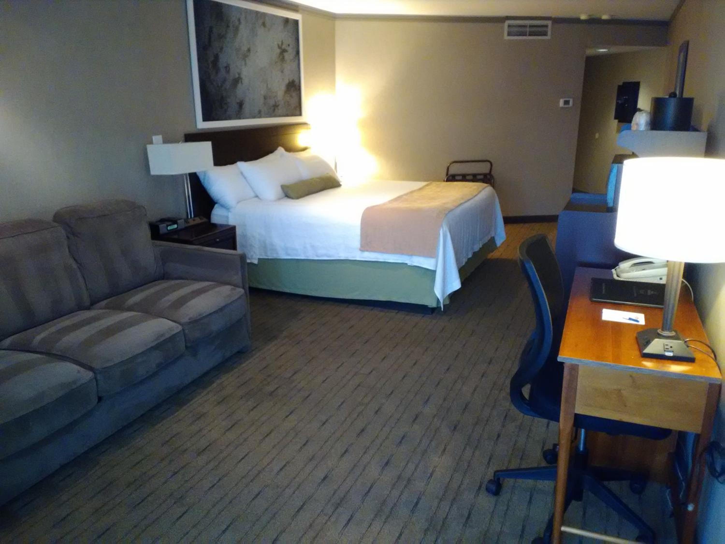 Deluxe King Room with Sofa Bed - Photo 1
