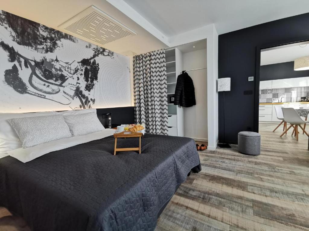 Deluxe One-Bedroom Apartment
