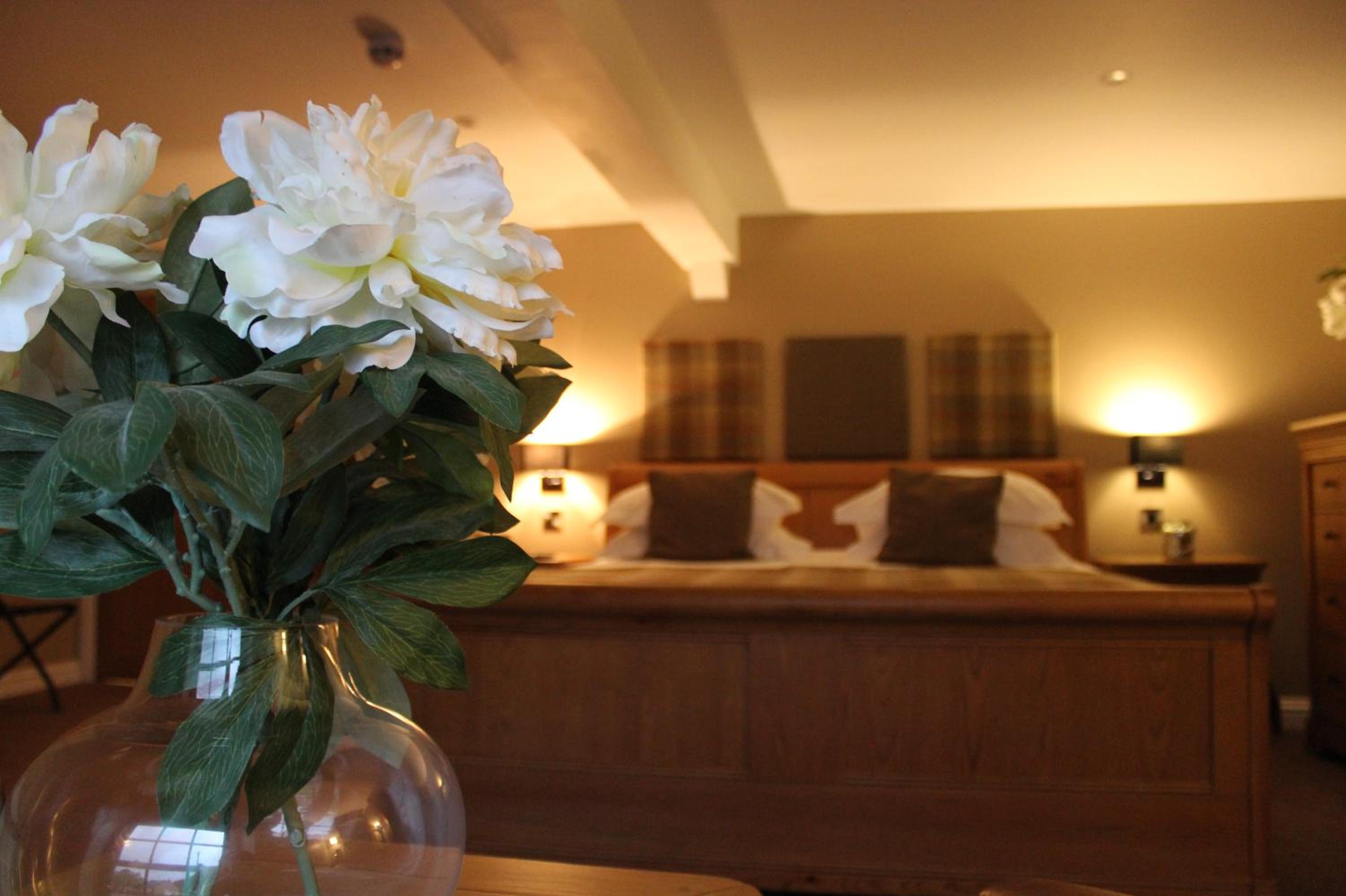 Premier King Room