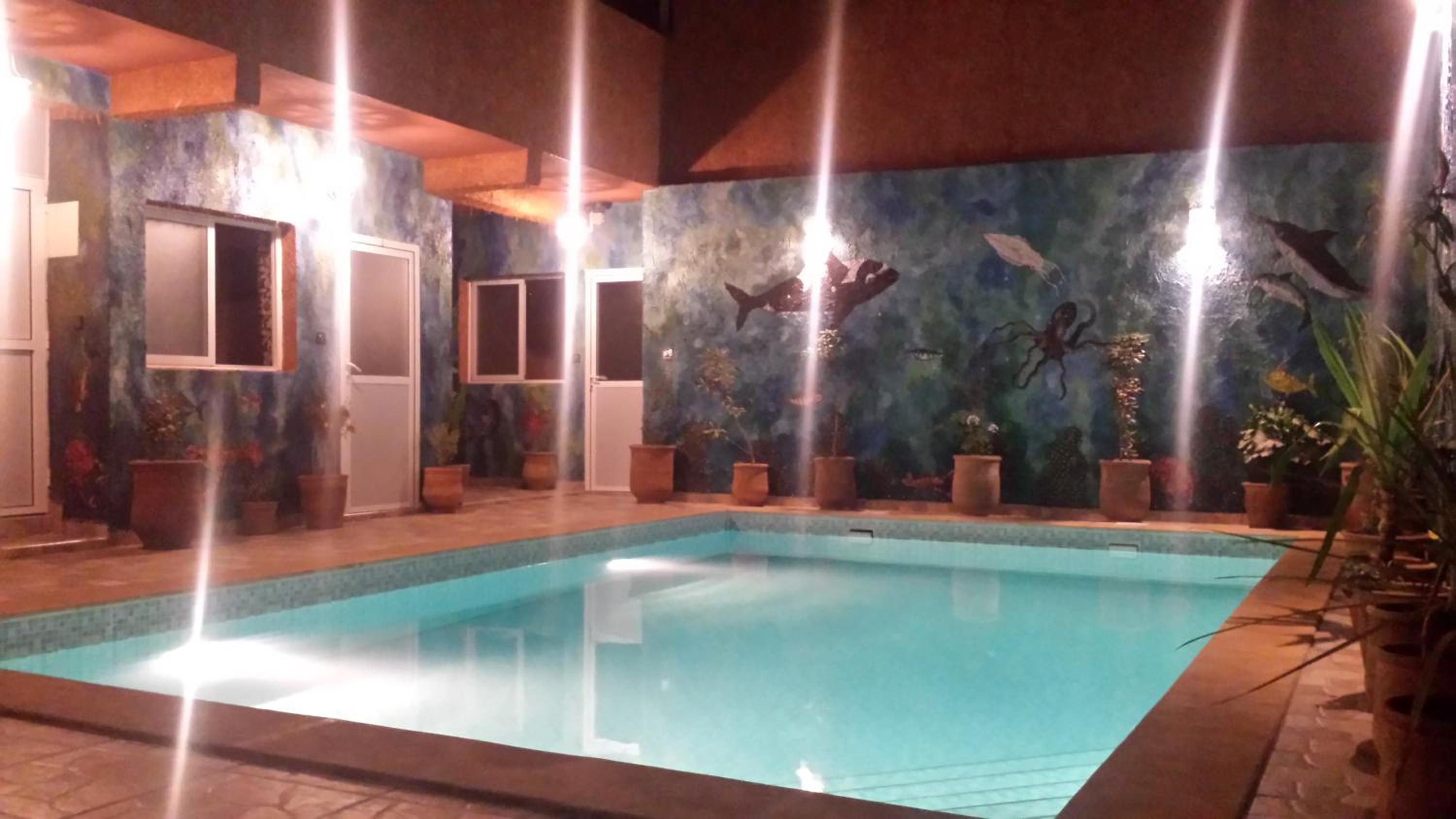 Double Room with Pool View photo 3