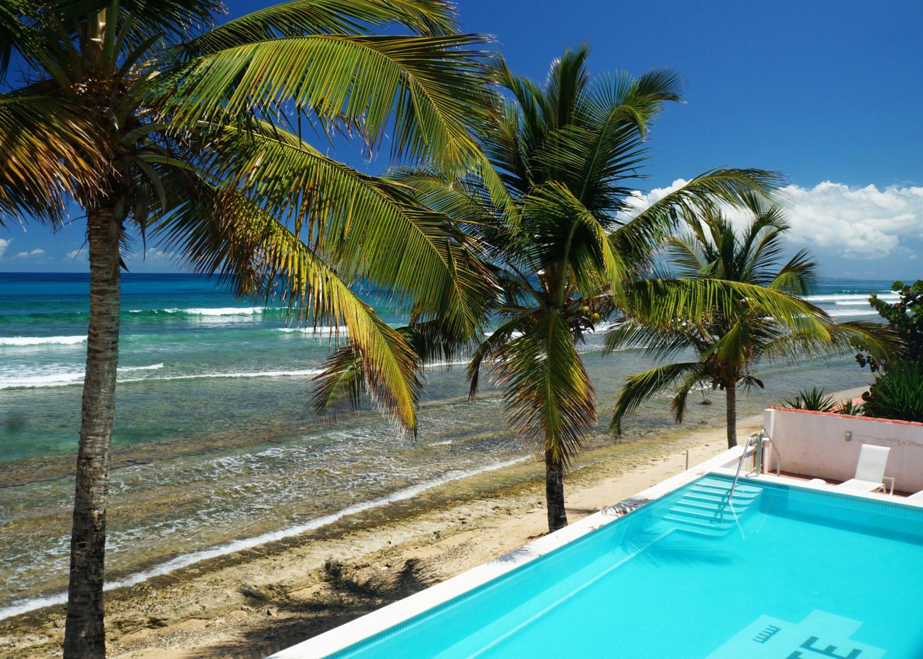 King Room with Sea View photo 2