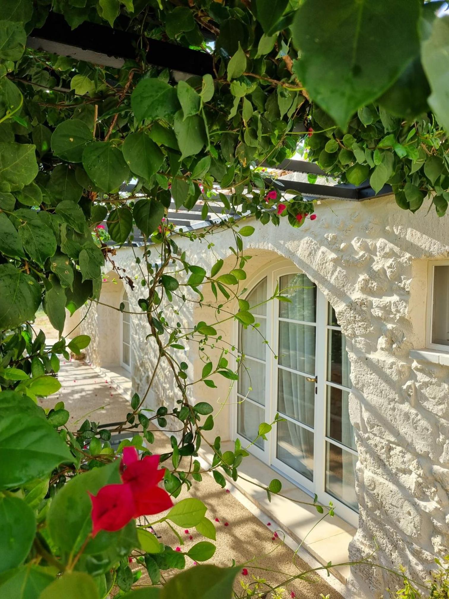 Double Room with Garden View