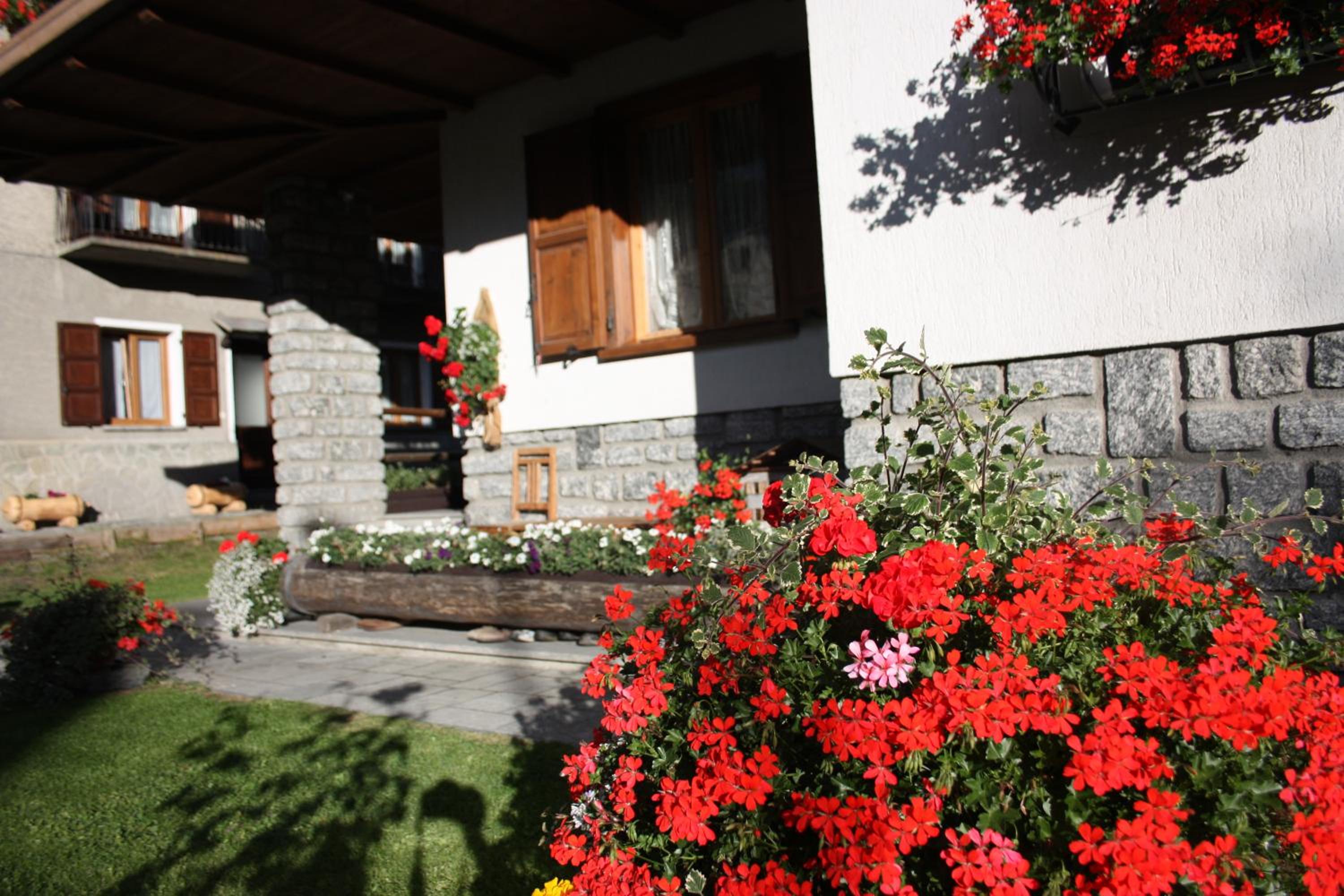 Apartment with Balcony photo 3