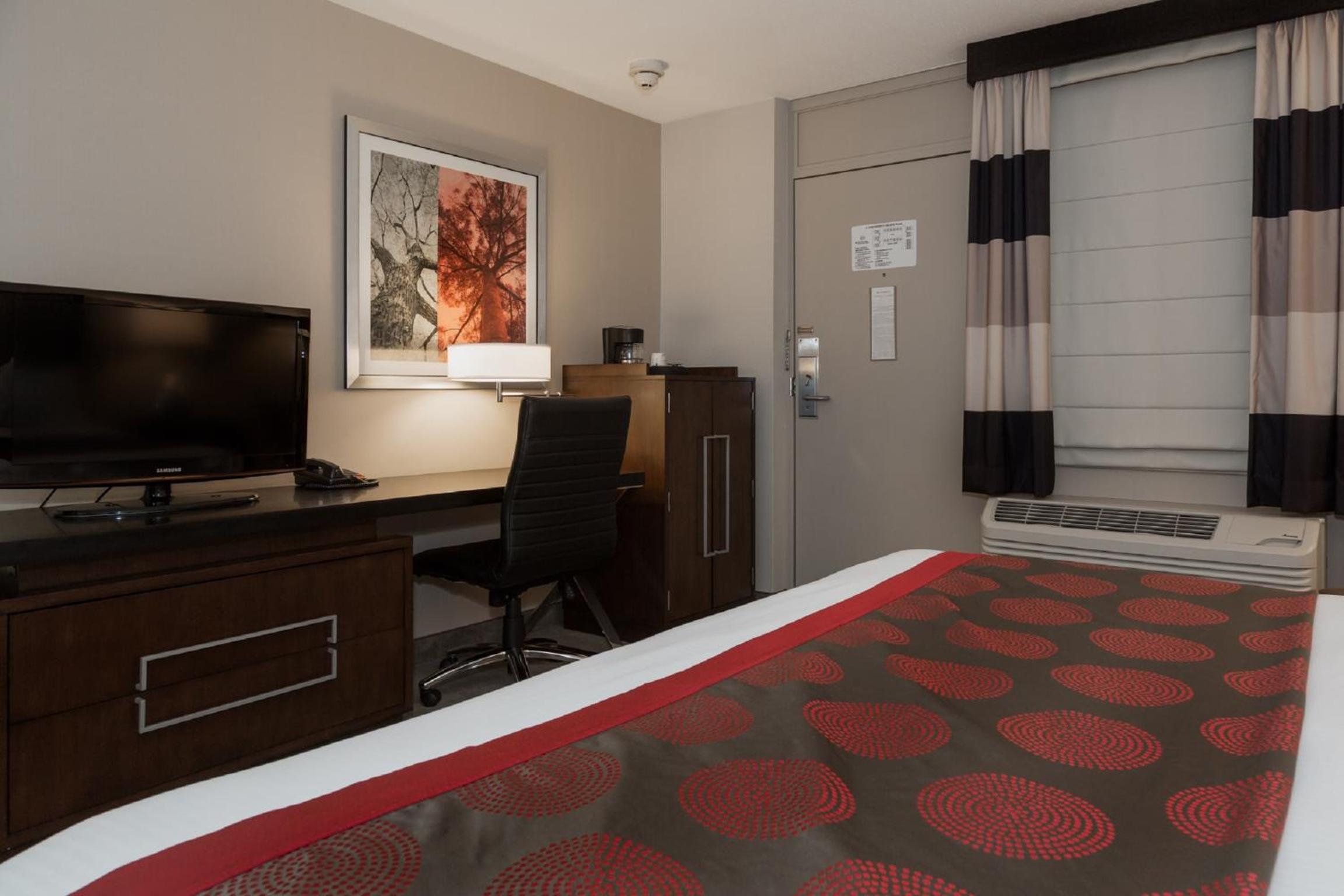 King Room - Non-Smoking