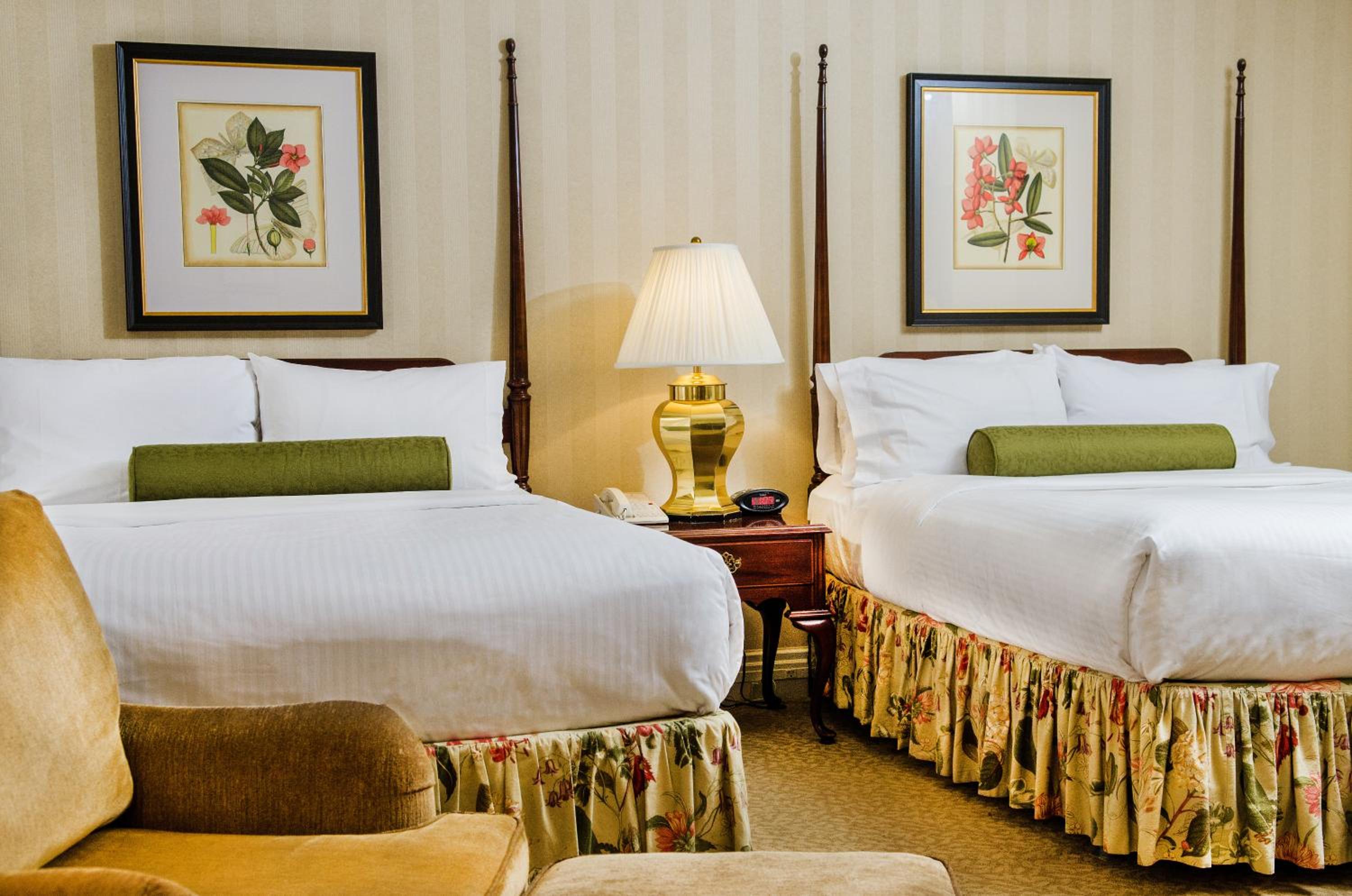 Deluxe Queen Suite - Photo 1
