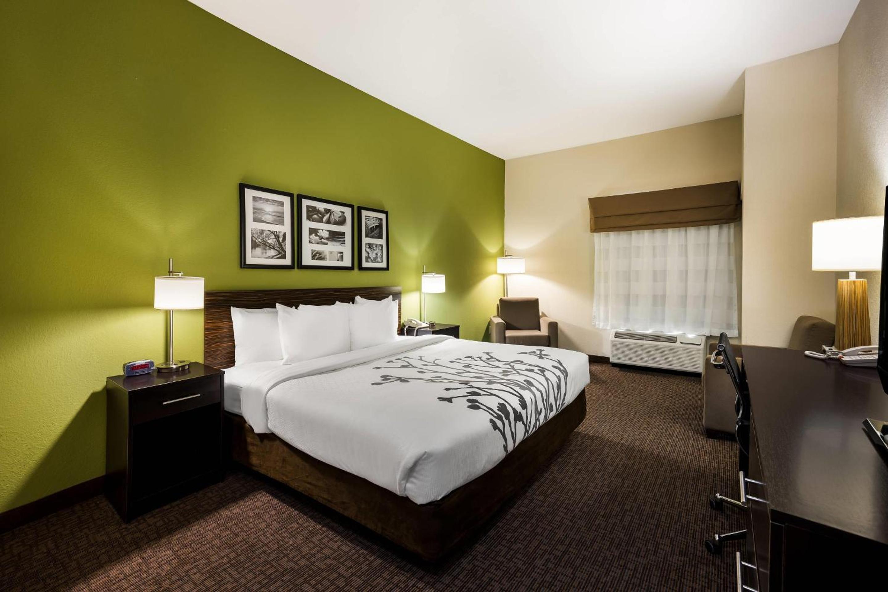 King Room - Accessible/Non-Smoking - Photo 1