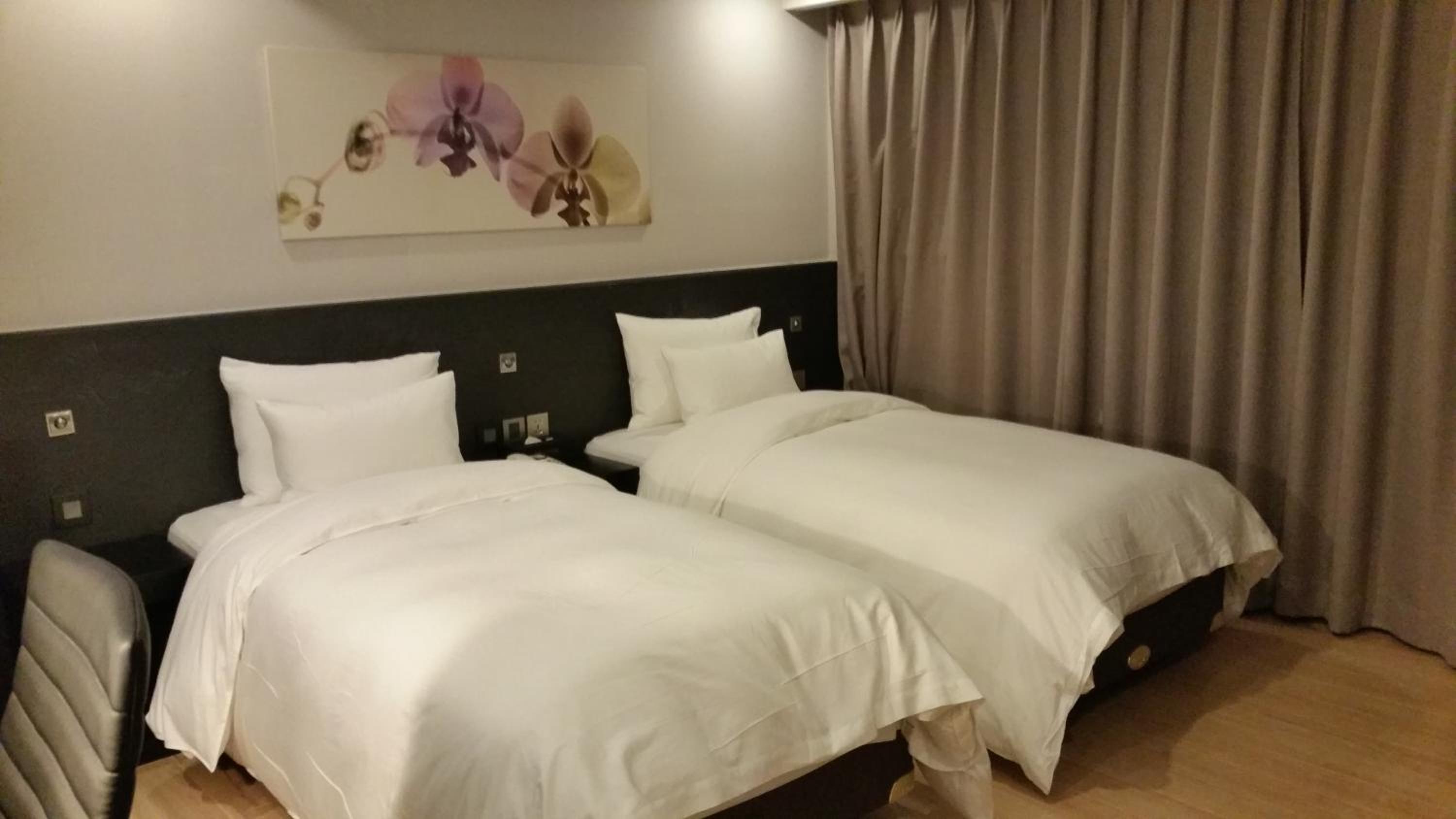 Standard Twin Room - Photo 2