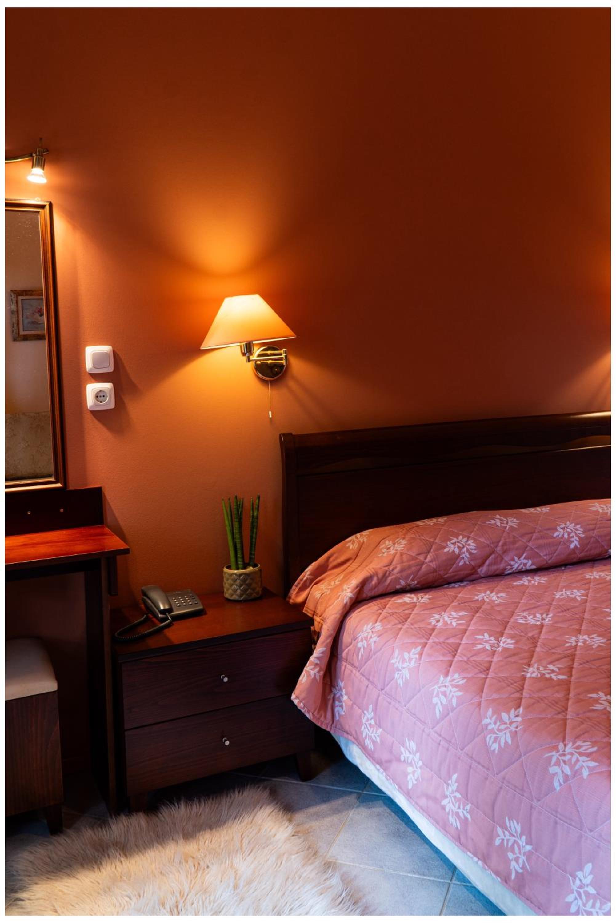 Standard Double Room photo 1
