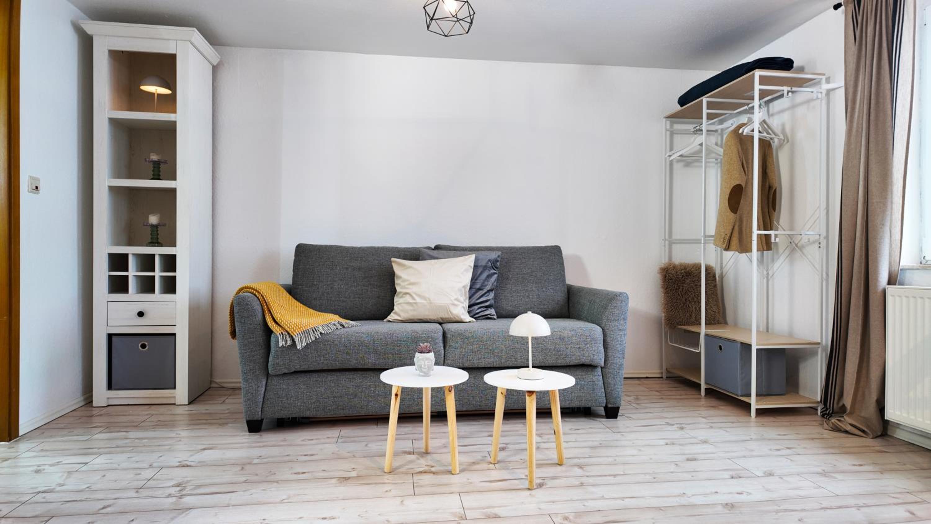Studio with Sofa Bed photo 1