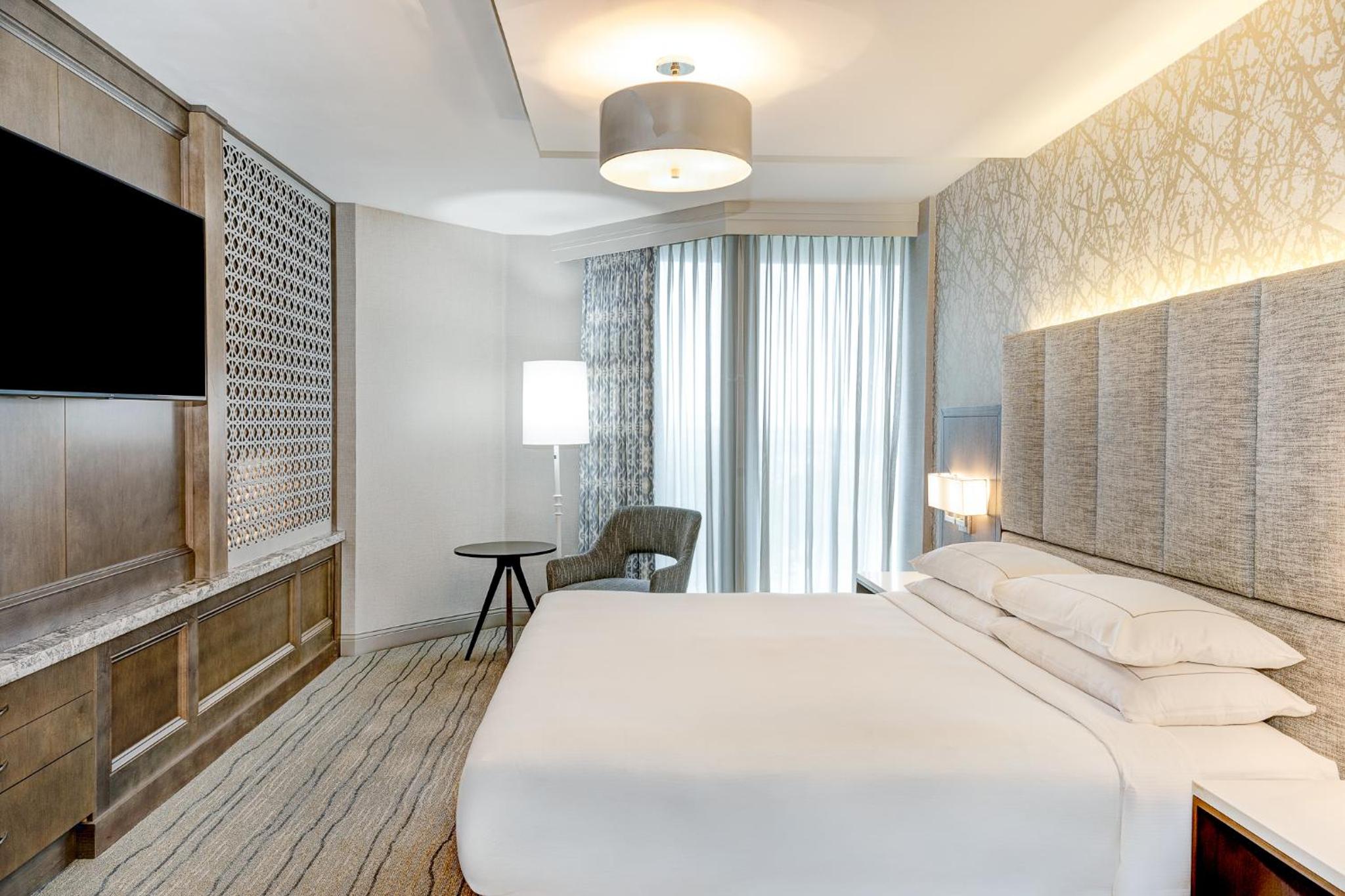 Premium King Suite with Sofa Bed and Seating Area photo 3