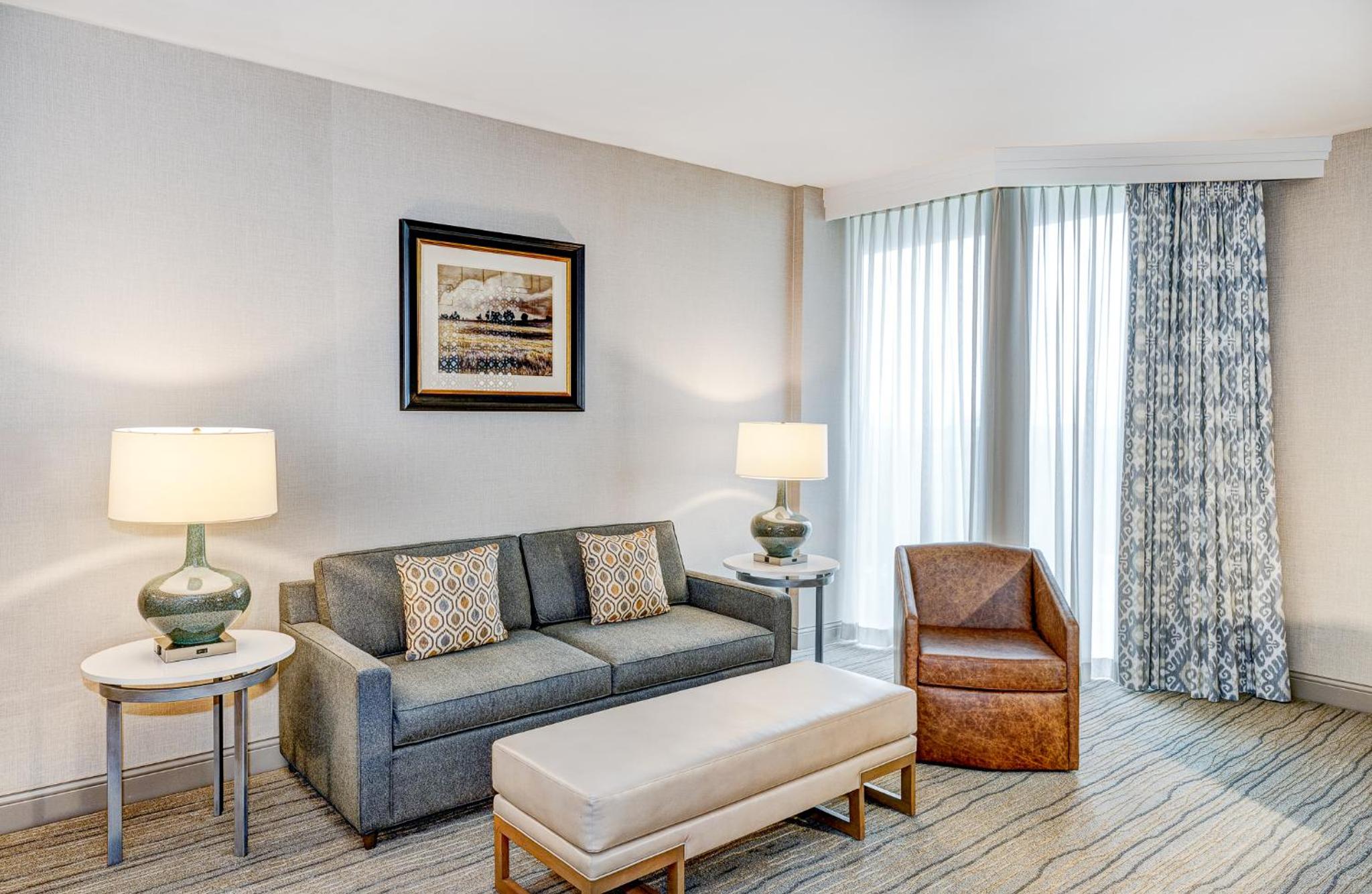 Premium King Suite with Sofa Bed and Seating Area photo 1