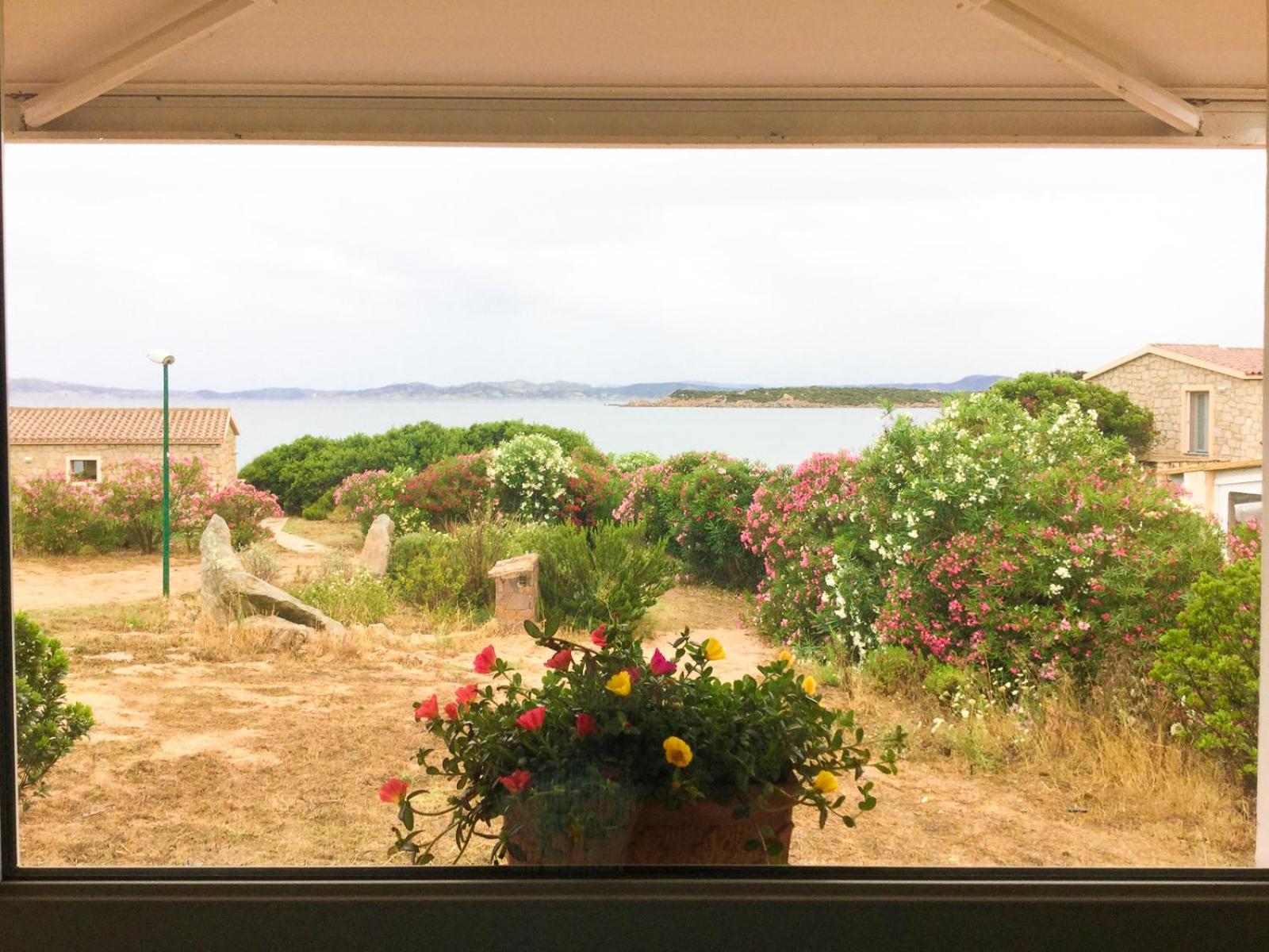 Villa photo 1
