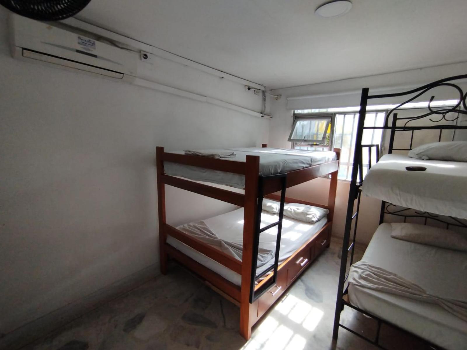 Comfort Quadruple Room photo 3