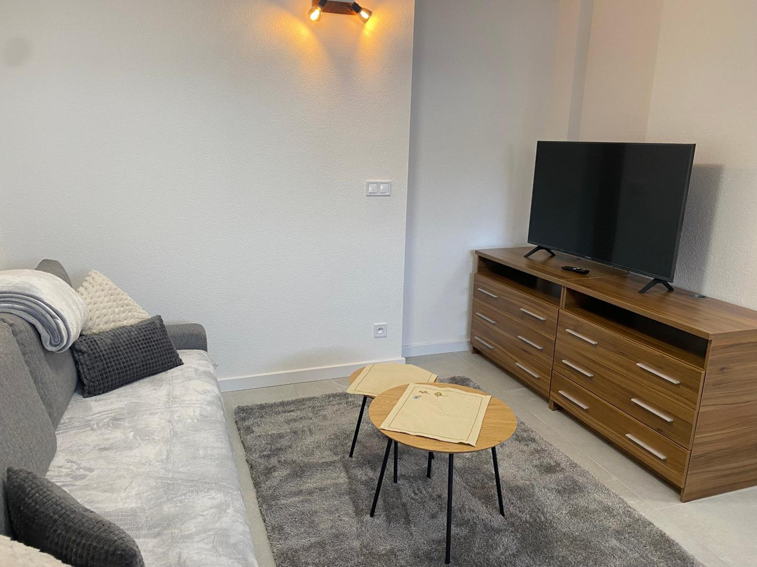 Superior One-Bedroom Apartment with Balcony photo 2