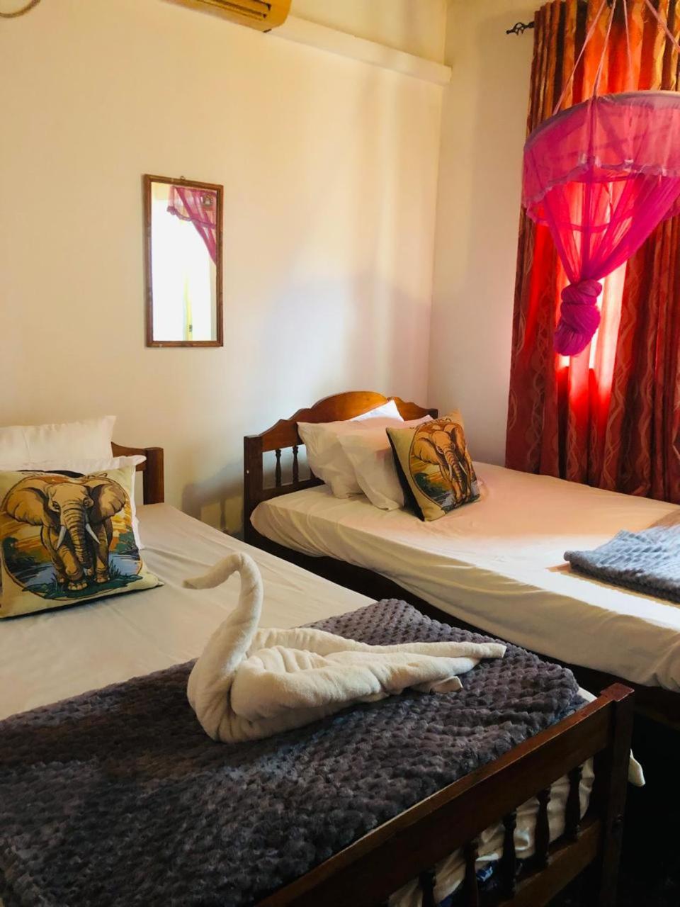 Double or Twin Room photo 3
