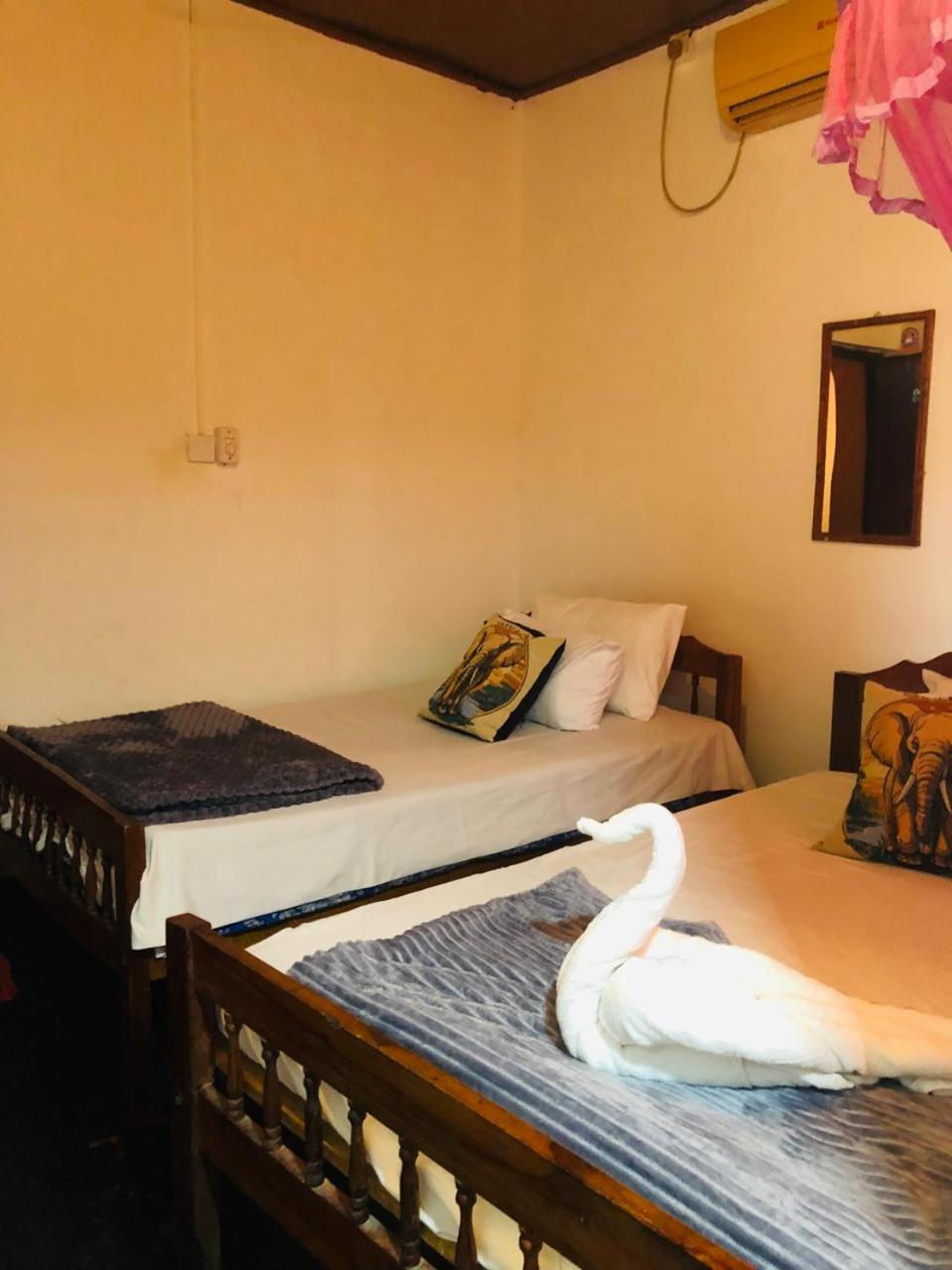 Double or Twin Room photo 1
