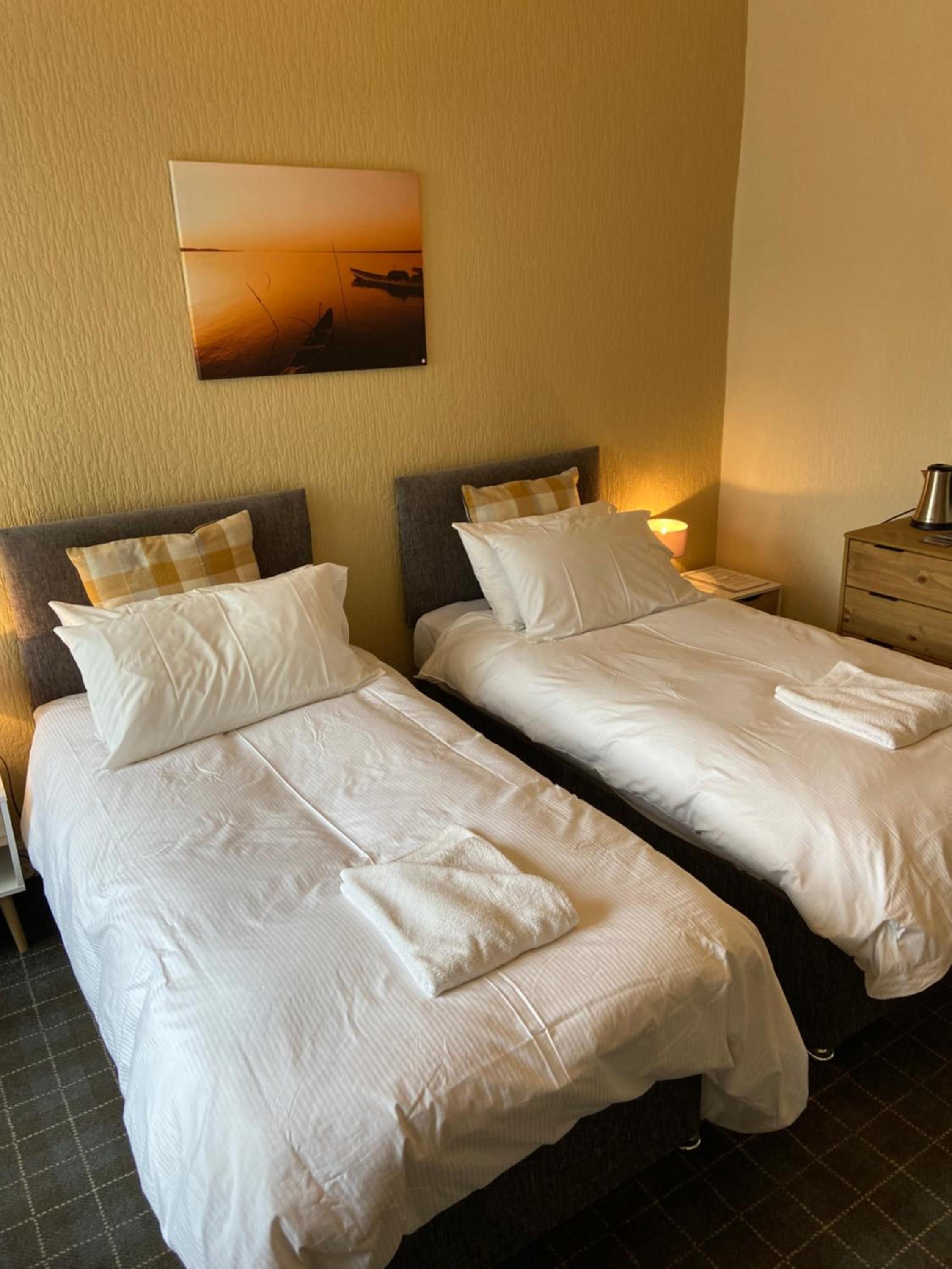 Deluxe Double or Twin Room photo 2