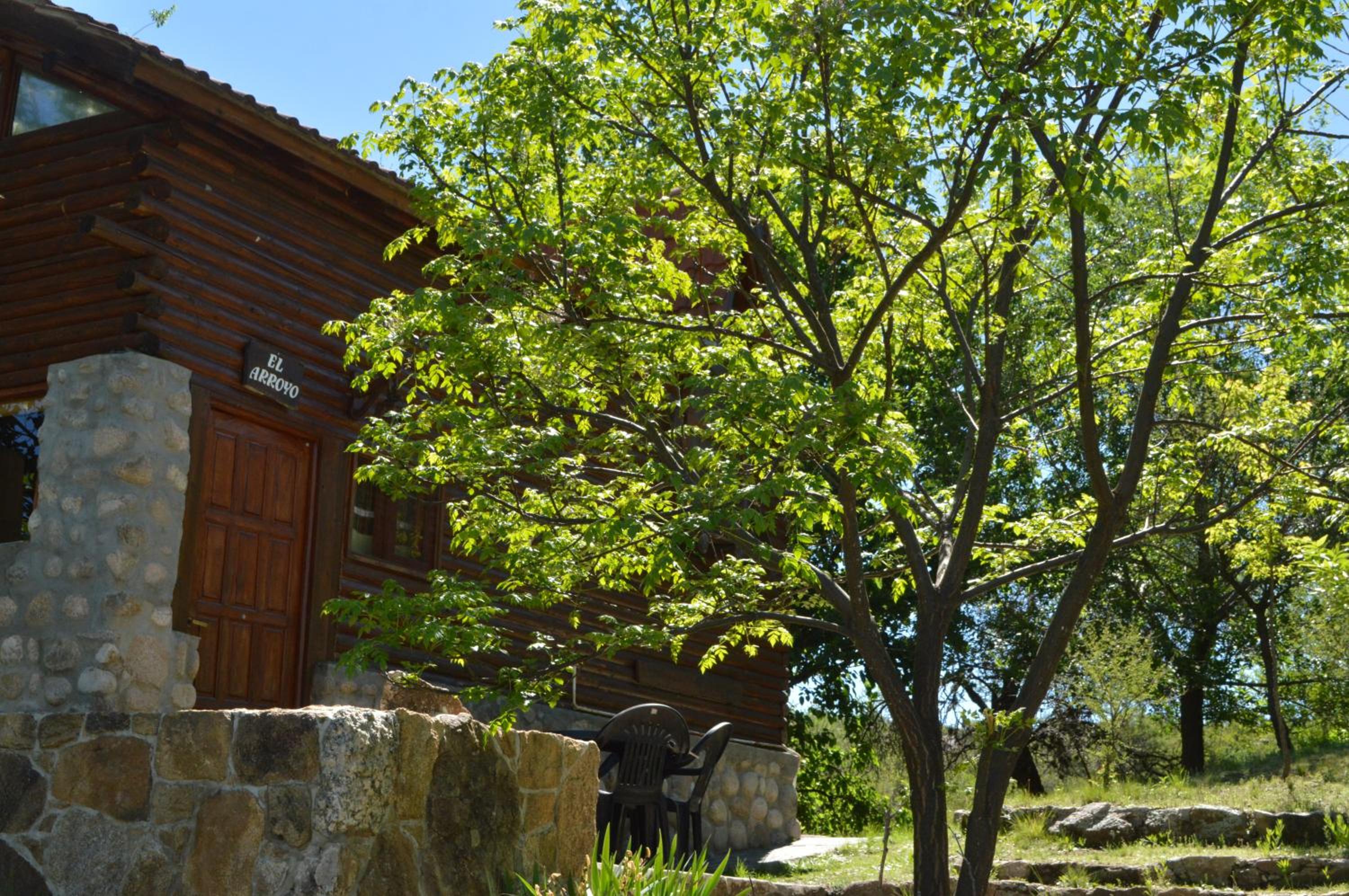Bungalow photo 2