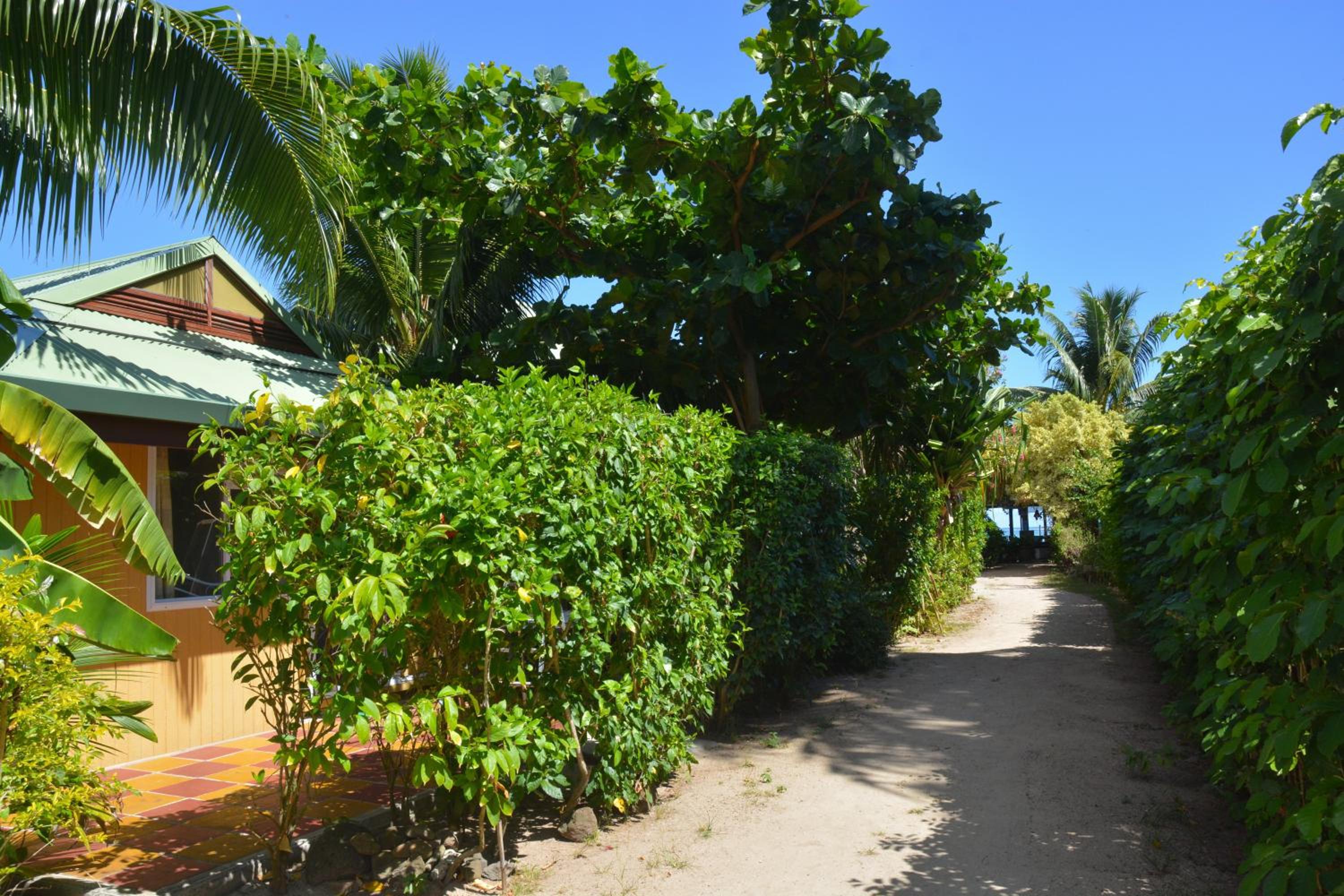 Bungalow with Garden View photo 1