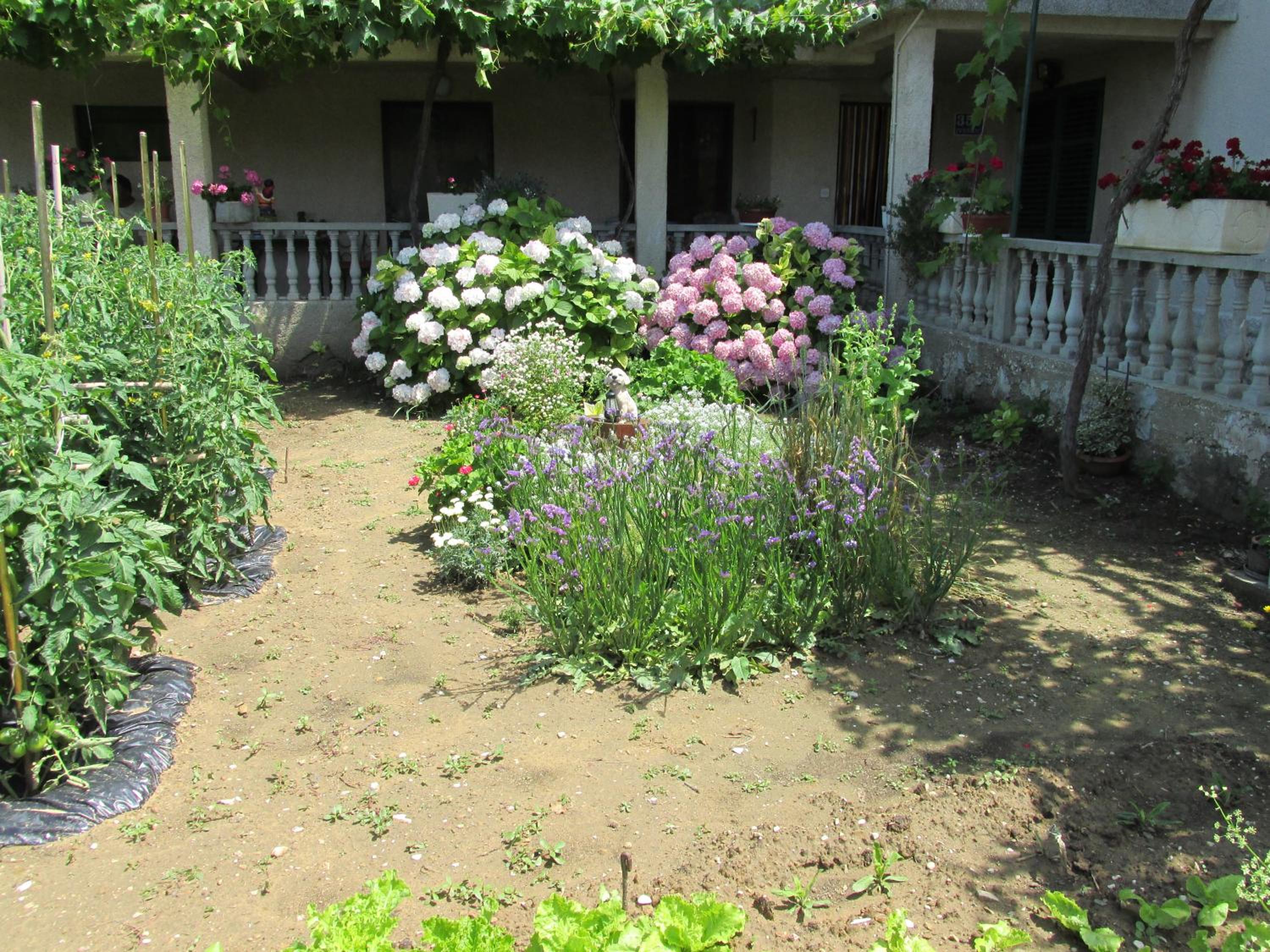 Apartment with Garden View photo 3