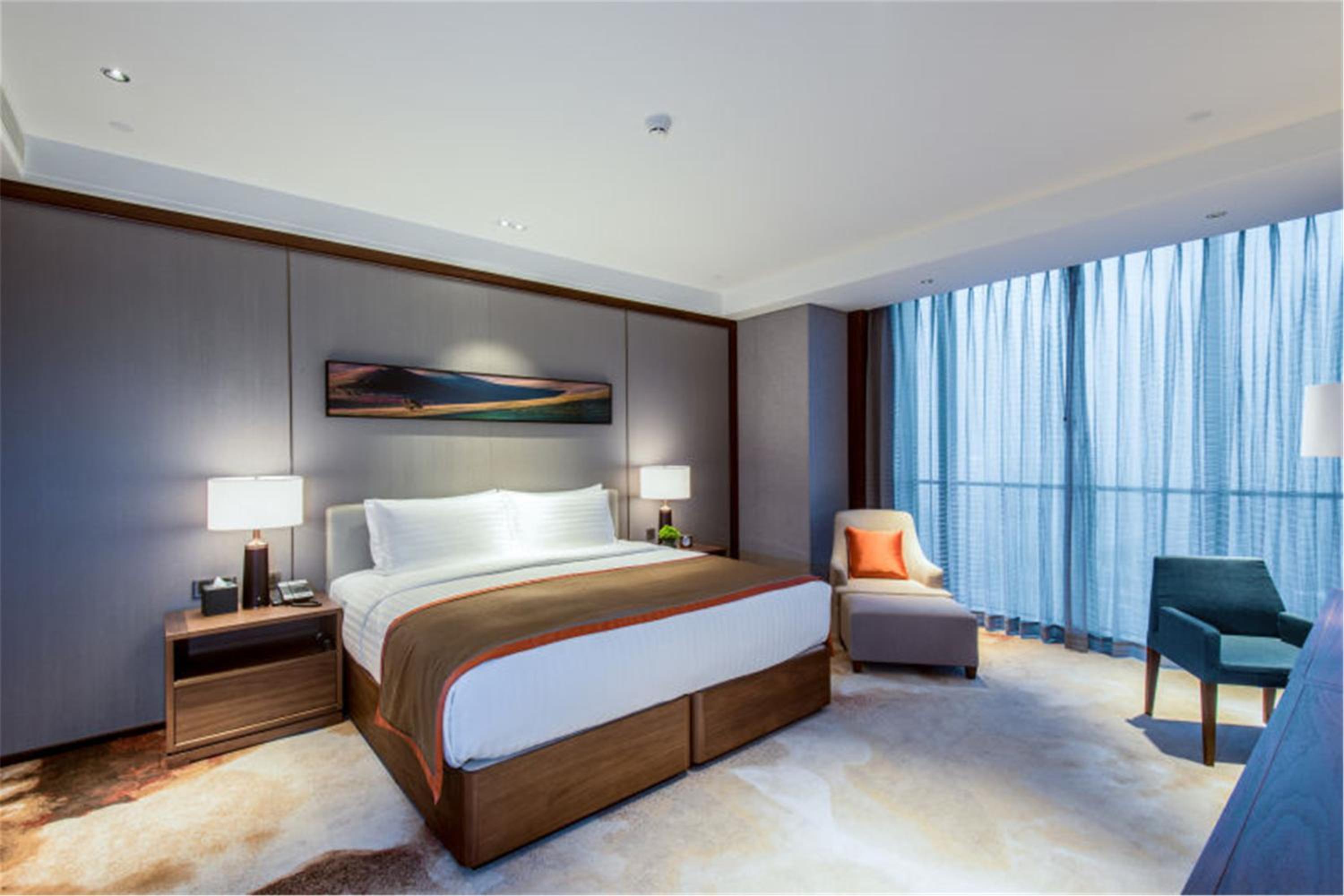 Executive One-Bedroom Apartment
