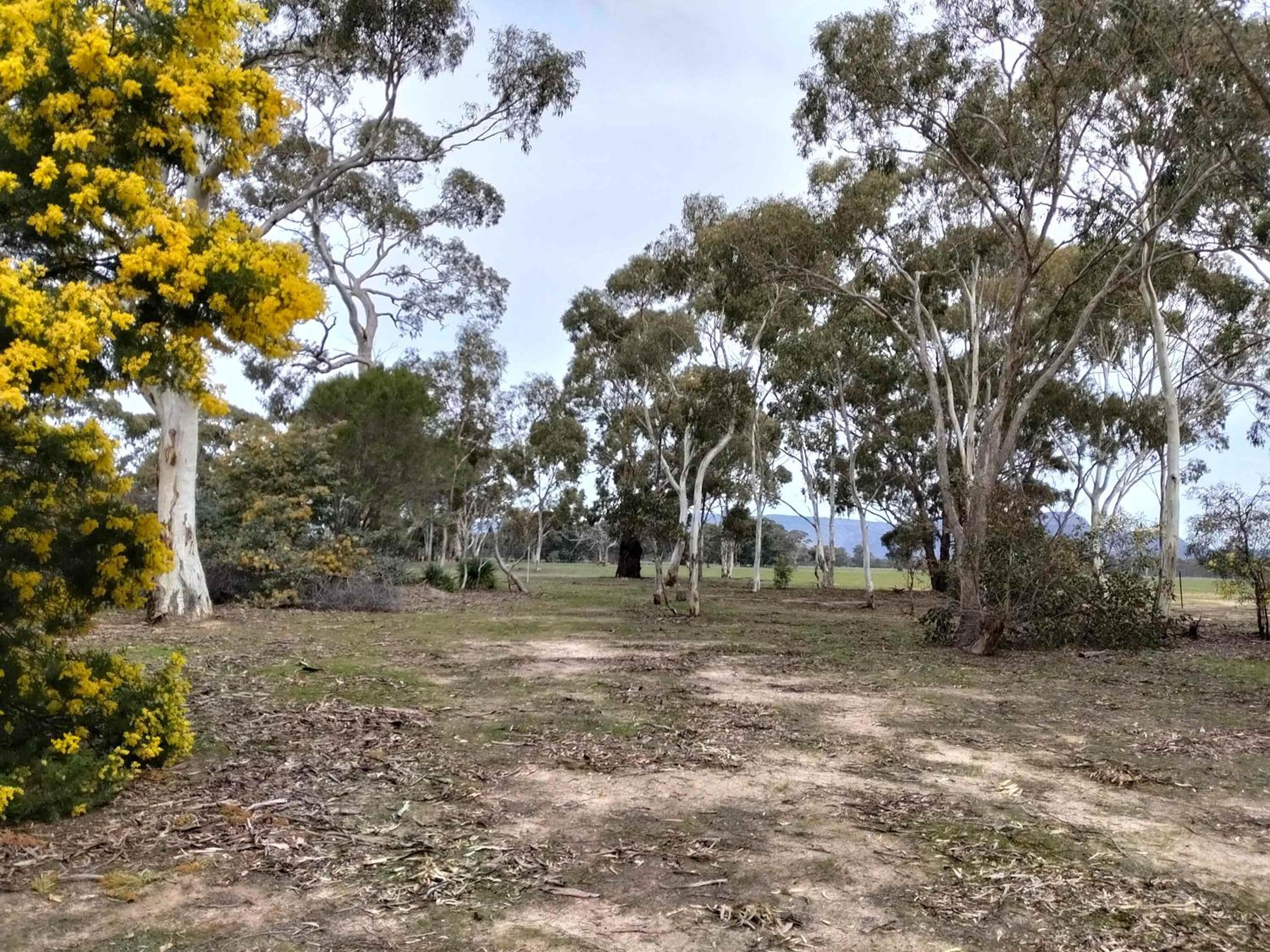 Unpowered Sites for Caravans (Parking lot, No Beds) photo 1