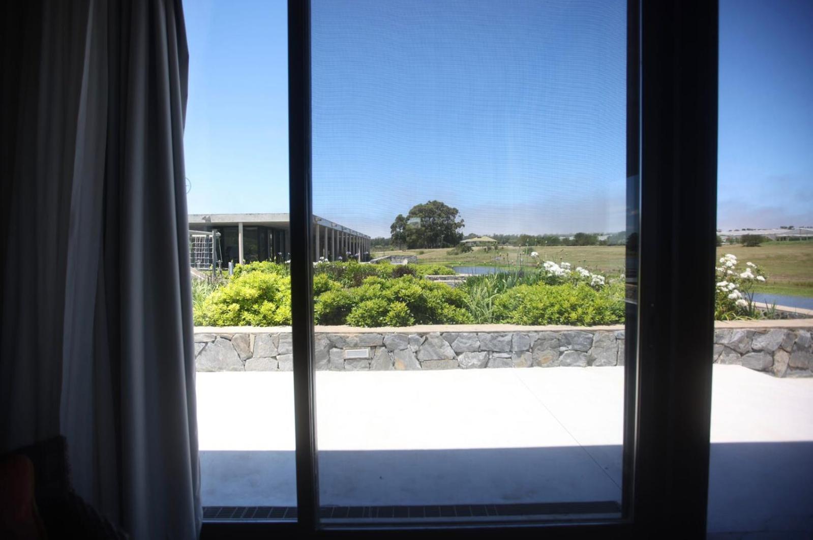 Suite with Lake View photo 3