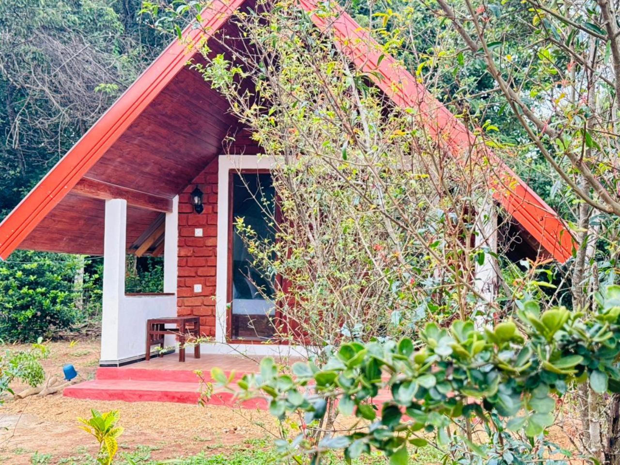 Deluxe Villa photo 2