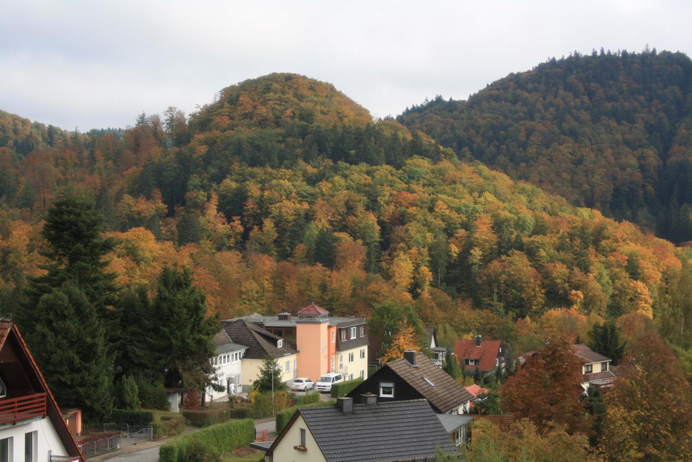 Apartment with Mountain View - Photo 8