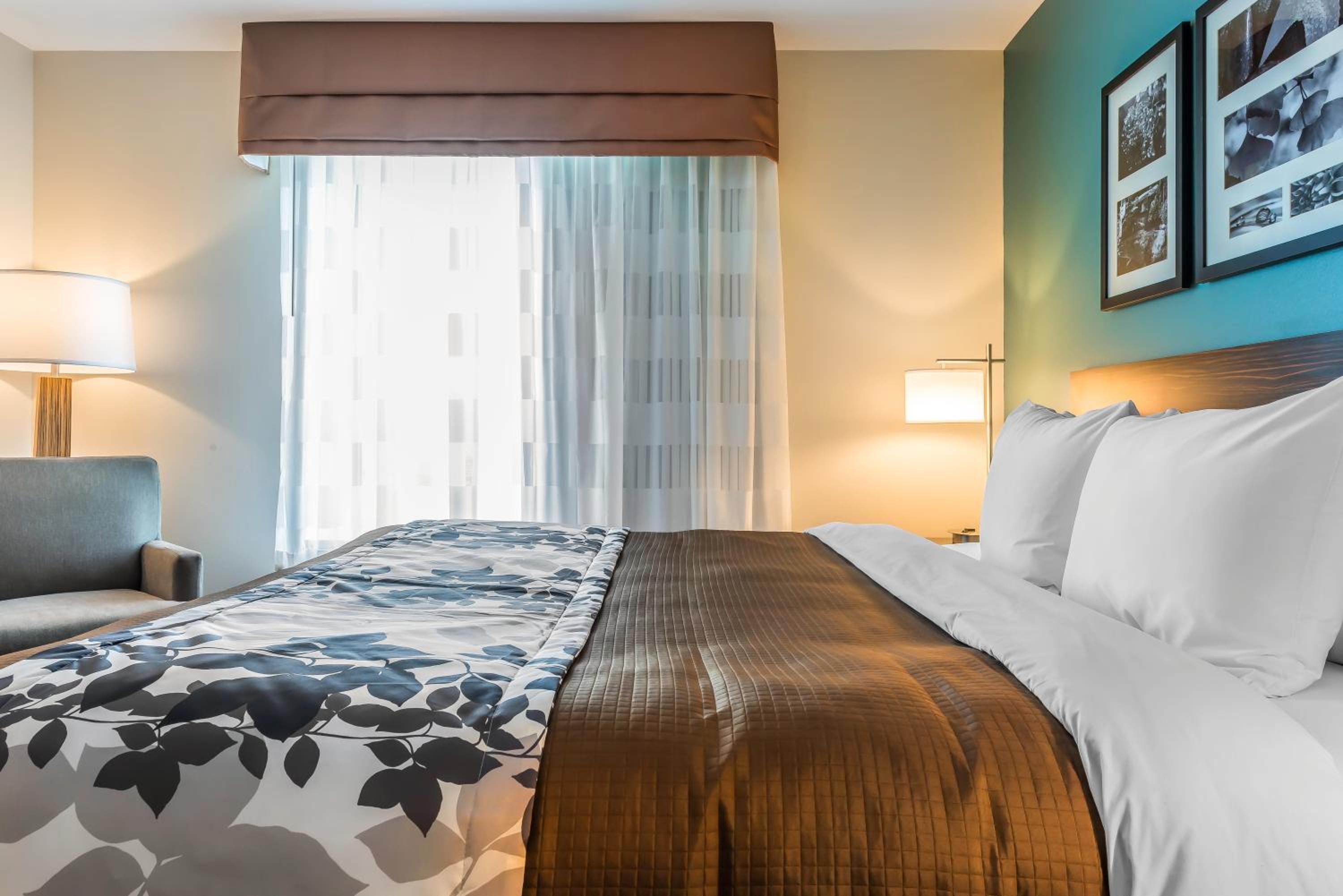 King Suite with Sofa Bed photo 1
