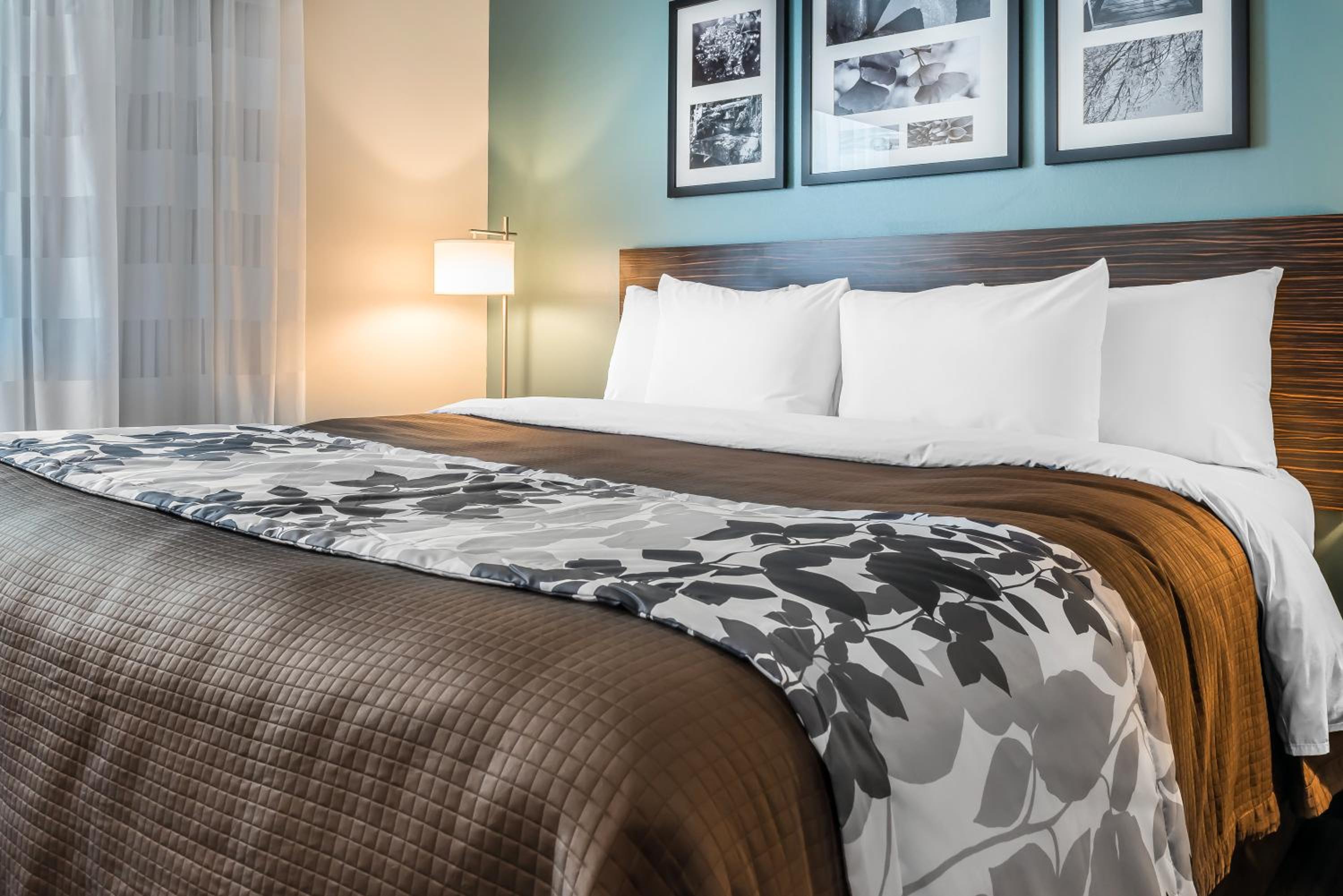 King Suite with Sofa Bed photo 3