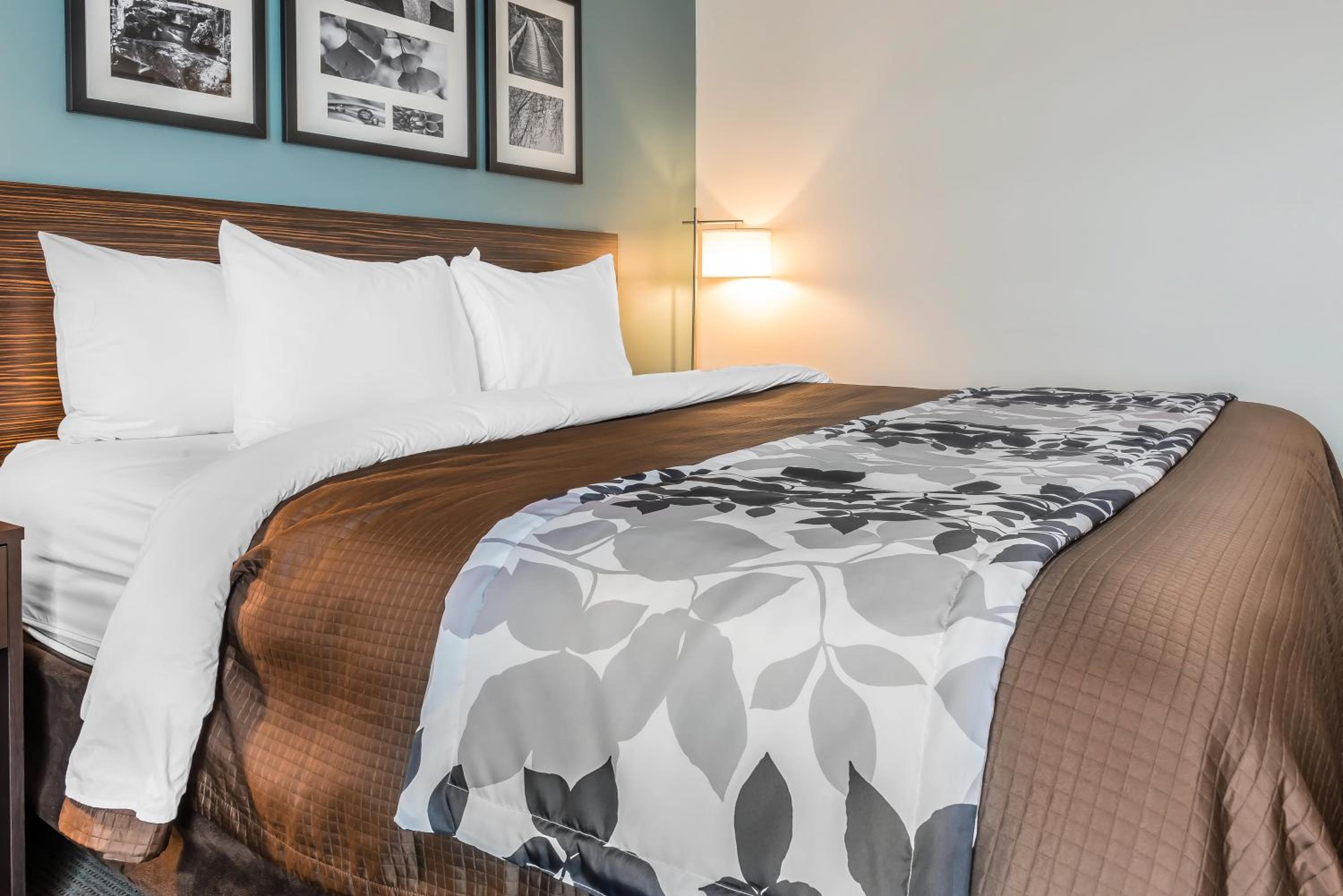King Room with Hearing Accessible - Accessible/Non-Smoking photo 2