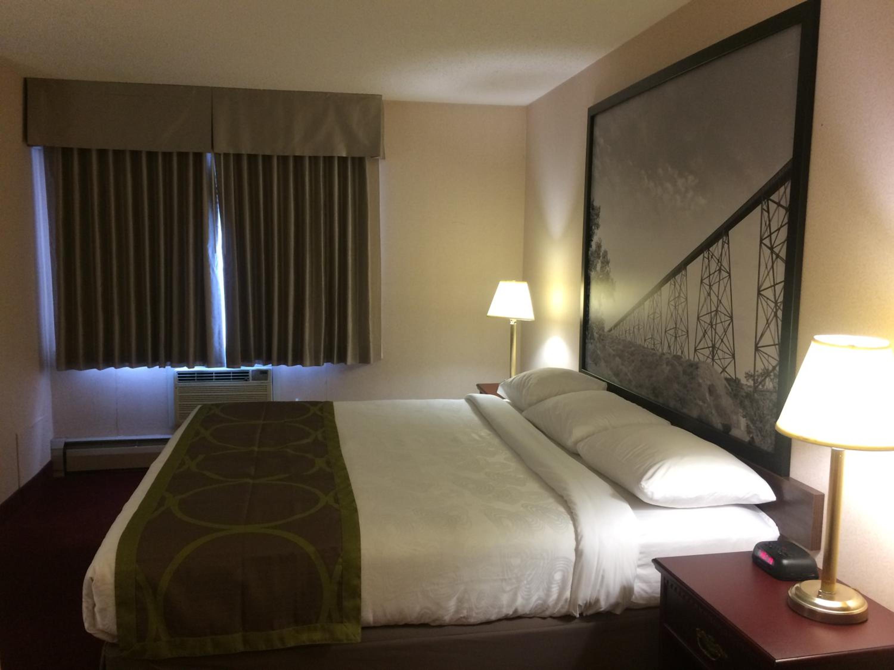 One Bedroom Suite with 1 King Bed Non-Smoking - Photo 8