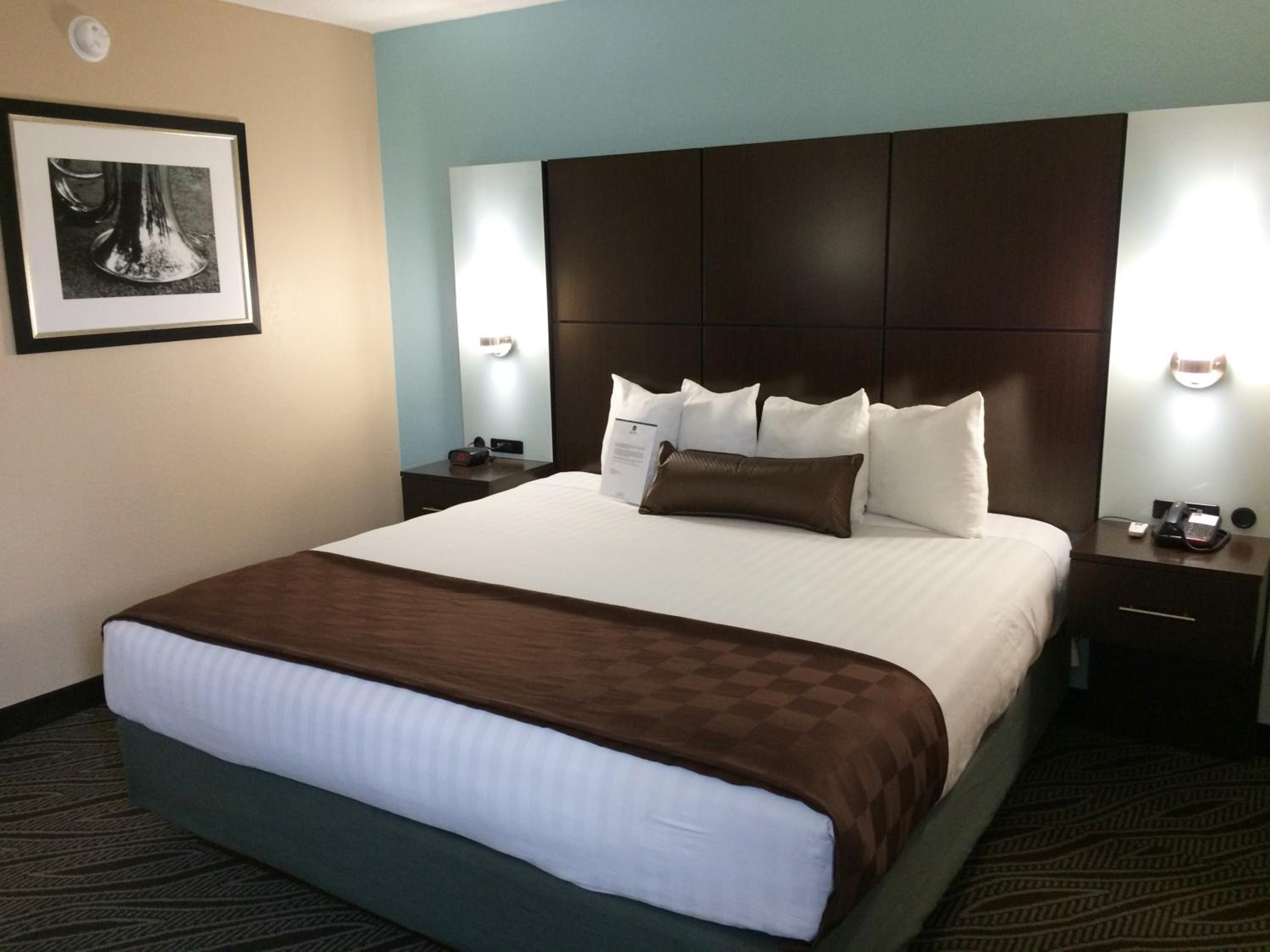 King Room photo 2
