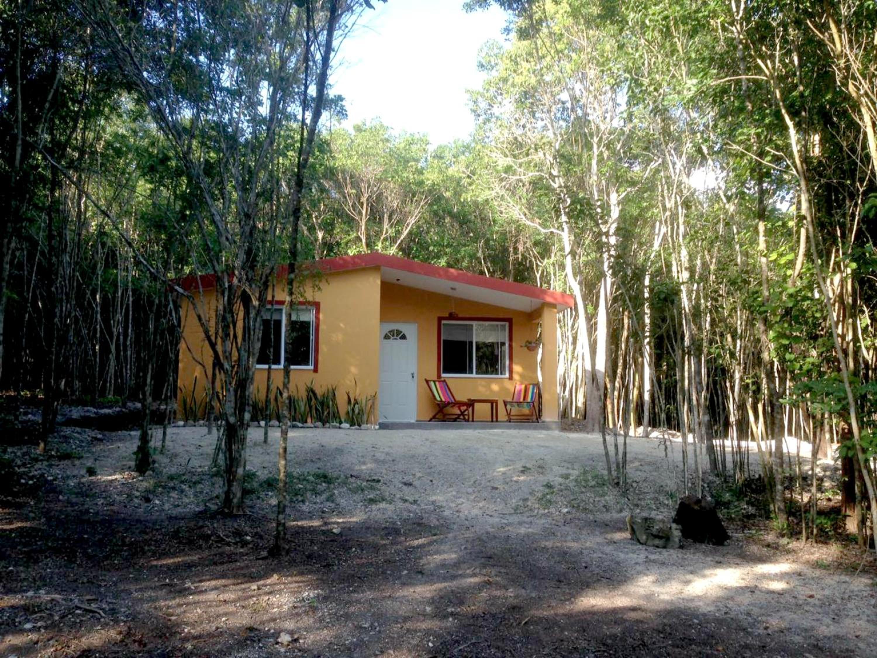 Casa mango photo 3