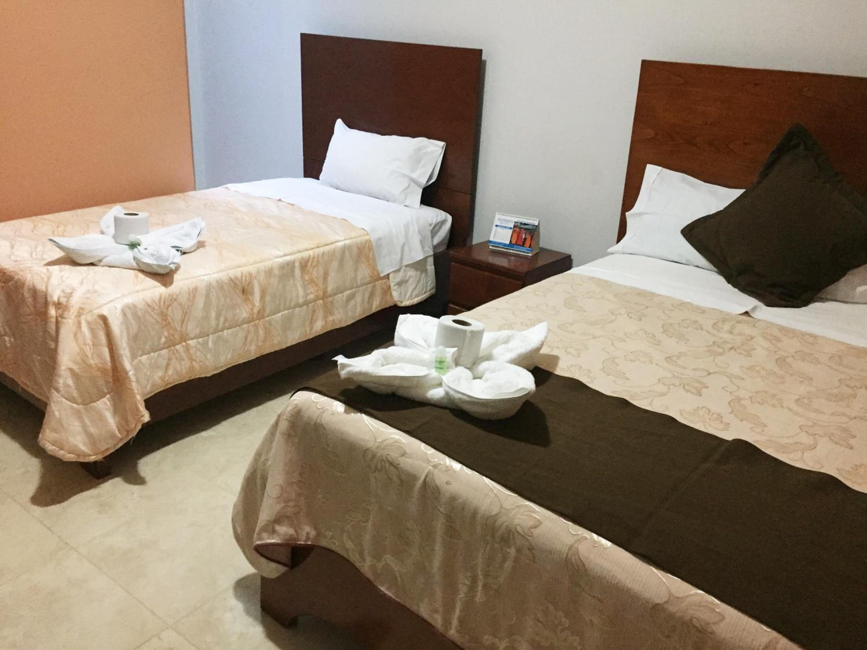 Twin Room photo 1